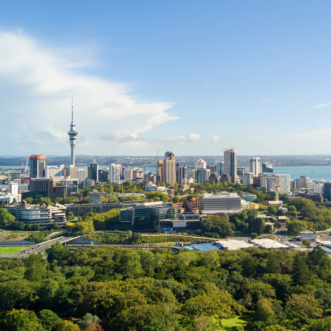 The quarter acre is gone, but Kiwis can still have the urban dream. BRANZ explores how!
Link is in bio 🌳🔗