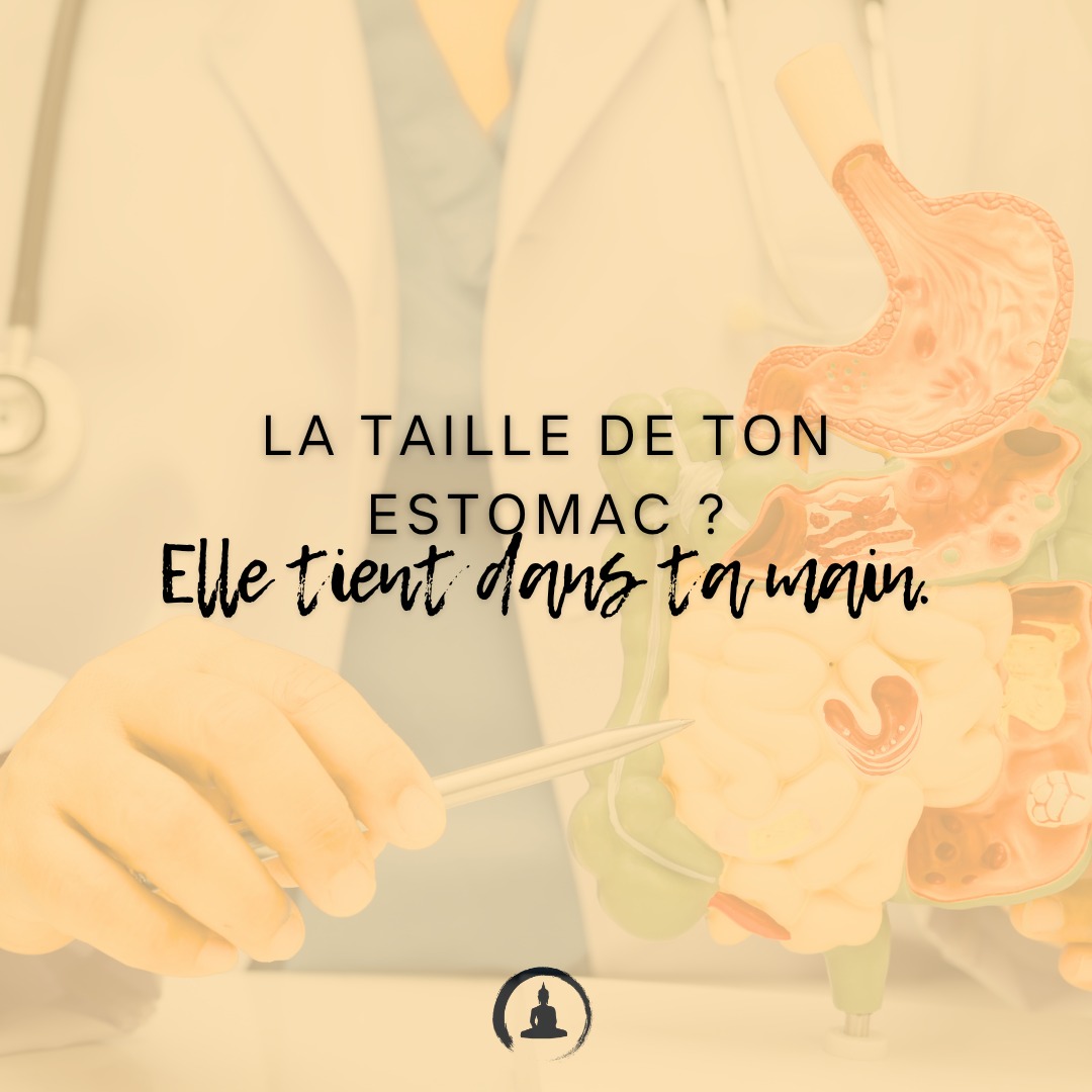 “La taille de ton estomac ? Elle tient dans ta main.”
Tu sais quelle est la vraie taille de ton estomac ?
💡 Il a la taille… de ton poing fermé.
Ce petit espace est ton "grenier central" — Weicang, en MTC.
Quand tu manges trop, ce grenier déborde. Et ton feu digestif s’éteint.
Ton ventre se tend, tes fascias se contractent, ta Rate s’épuise.
🍽️ Le secret ? Manger à 70 % de sa faim. Toujours laisser une part de vide.
Ce vide permet au Qi de circuler. C’est de l’espace vivant.
Ce n’est pas la quantité qui nourrit. C’est l’harmonie.
#MédecineChinoise
#ConscienceDigestive
#SantéHolistique
#MangerEnConscience
#ÉcouteDuCorps
#MédecineÉnergétique
#AlimentationConsciente
#DigestionNaturelle
#Qi
#Fascias
#RespectDuCorps
#BienManger
#SagesseDuCorps
#SantéNaturelle
#SoutienDigestif
#TaoDeLaSanté
#MTCFrance
#SantéPréventive
#ÉquilibreIntérieur
#AlimentationÉnergétique