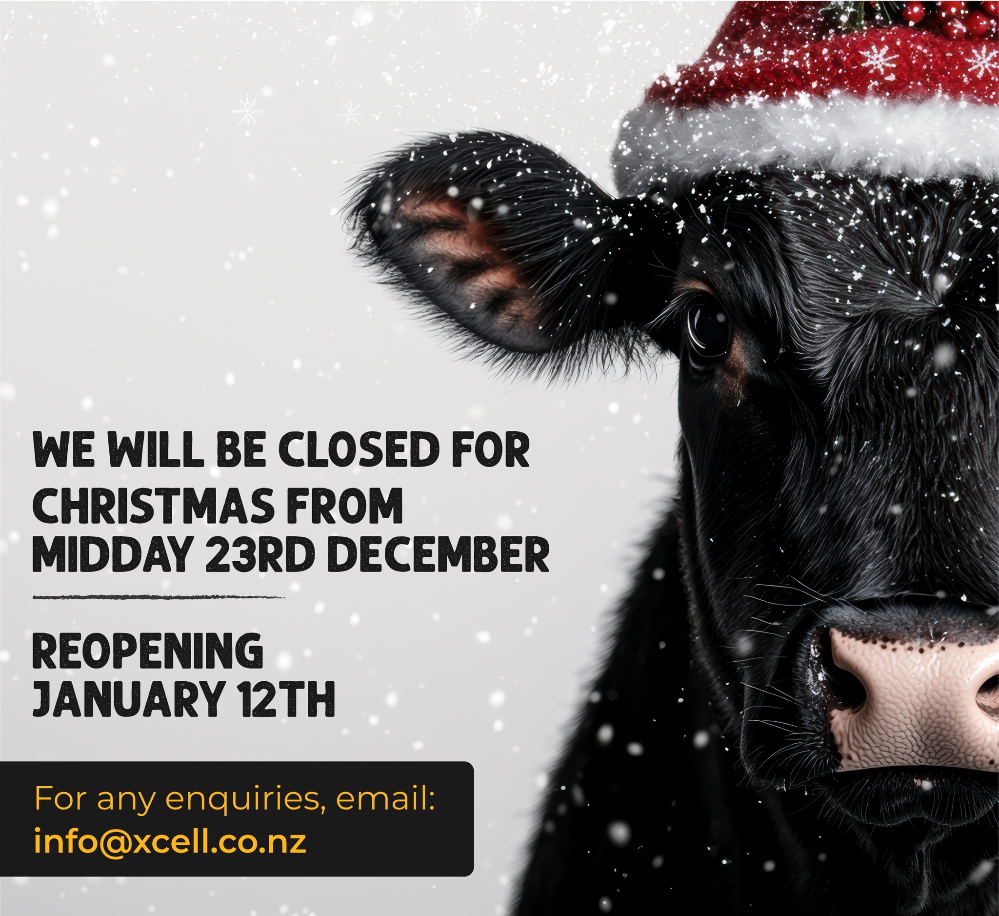 Just a friendly reminder that while the team take a break over Christmas we will be closed from midday 23rd December and back open January 12th.