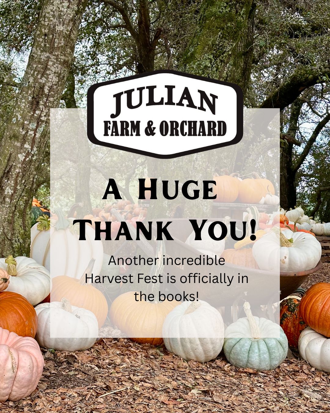 🧡 A Huge Thank You: Harvest Fest 2025 is Wrapped! 🧡
Another incredible Harvest Fest is officially in the books!
It’s truly amazing how many lasting memories were made on the farm this season, and we are so grateful to everyone who visited.
Your support means the world to us. It directly helps sustain our family-operated farm, and we mean 🧡 "family" 🧡 in so many ways:
🧡 We are owned and operated by a local family.
🧡 We have multiple family members who work together on our team.
🧡 We have dedicated team members who have become like family.
🧡 And most importantly: all the families that made memories with us on the farm this year!
Thank you to our amazing staff and every customer who made it all possible.
See you next season!