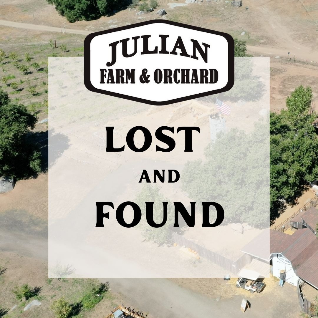 🚨 Last Chance to Claim Lost & Found Items 🚨
Did you leave something behind during your fall visit? Now is your last chance to check our Lost and Found!
We have collected hats, clothing items, glasses, water bottles, a few toys, and other items, but they need to find their way home!
This is your final notice. If you think you left something at the farm, please email us immediately to see if we have it and arrange a pickup:
📧 info@julianfarmandorchard.com