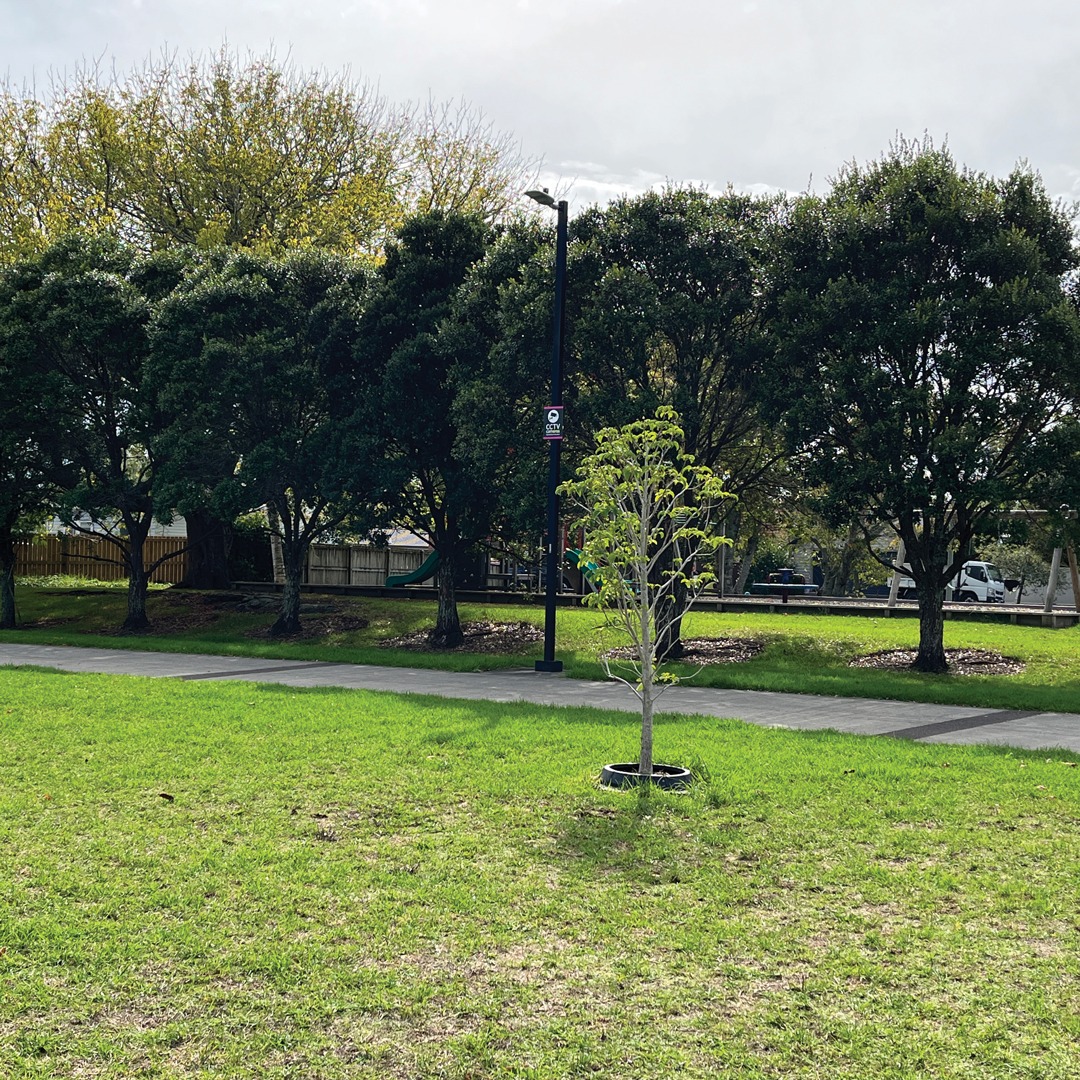 Sue Ira says to create resilient, green and alive cities – we need to start thinking beneath the surface. How much does soil prep and planning come into the work you do? Click the link in bio to read more! 🌳