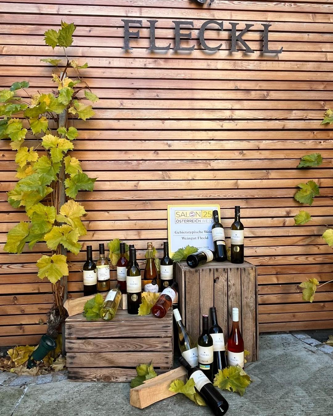 Weinherbst #weinherbst #weinviertel #weingutfleckl #liebezumwein #genussmomente