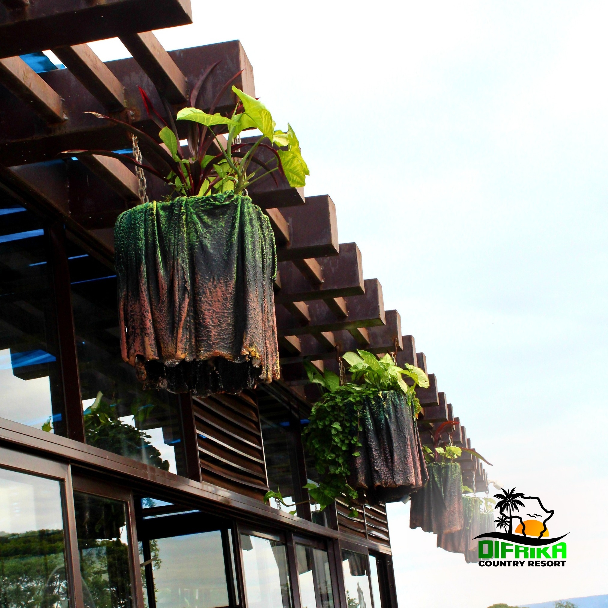 November at Difrika is all lush and cozy 🌿
Breathe in the fresh garden air, wake up to calm mornings, and end your day by the pool or under the stars. #DifrikaCountryResort #ExploreUganda #WeekendGetaway #GreenSeason #NatureRetreat #MistyMornings #LakesideVibes #DiscoverUG