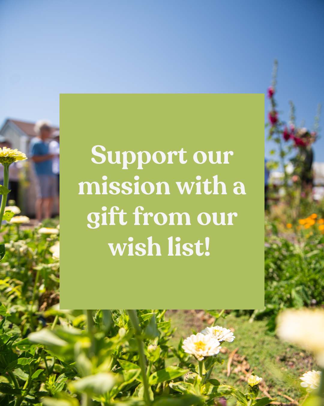 Interested in making a direct, local impact this giving season? We invite you, your business, or your community group to check out our wish list! ๐
If youโd like to contribute a big ticket item, get in touch with us (via message here or email info@cityfarmslo.org) to discuss!
If youโre interested in gifting a smaller item on our wish list, you can visit the registry link to purchase directly. (You may even have some of these items lying around that we'd love to repurpose.)
From lambing supplies to farm stand infrastructure, our growing programs need your support! Every contribution makes a difference. ๐ฑ
#givelocal #empoweryouth #regenerativefarming #slocal #sanluisobispo