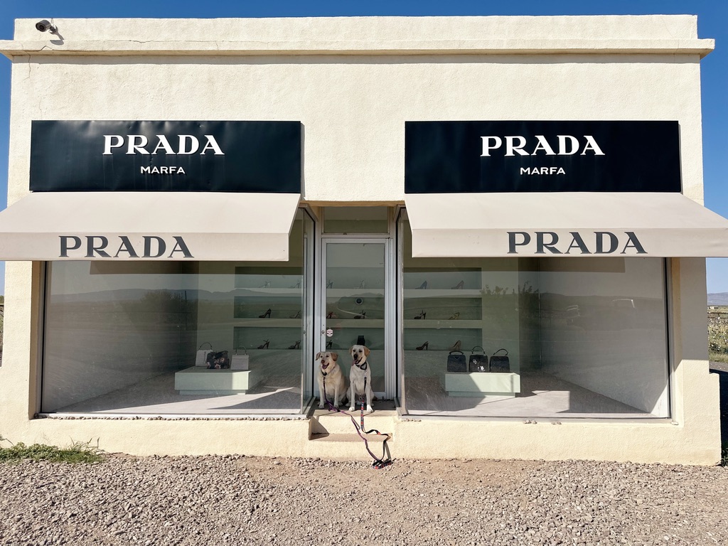 The Prada Marfa sculpture in Valentine, Texas, is a blend of art and Americana—a permanent, out-of-place installation that captures the imagination and invites visitors to experience creativity in the most unexpected places.
Explore this and other hidden gems across District 74 and discover all our communities have to offer!
#TexasLeadership #TexasProud #TXLege74 #MoralesForTexas #AVoiceForAll #Texas #HD74 #TXLege