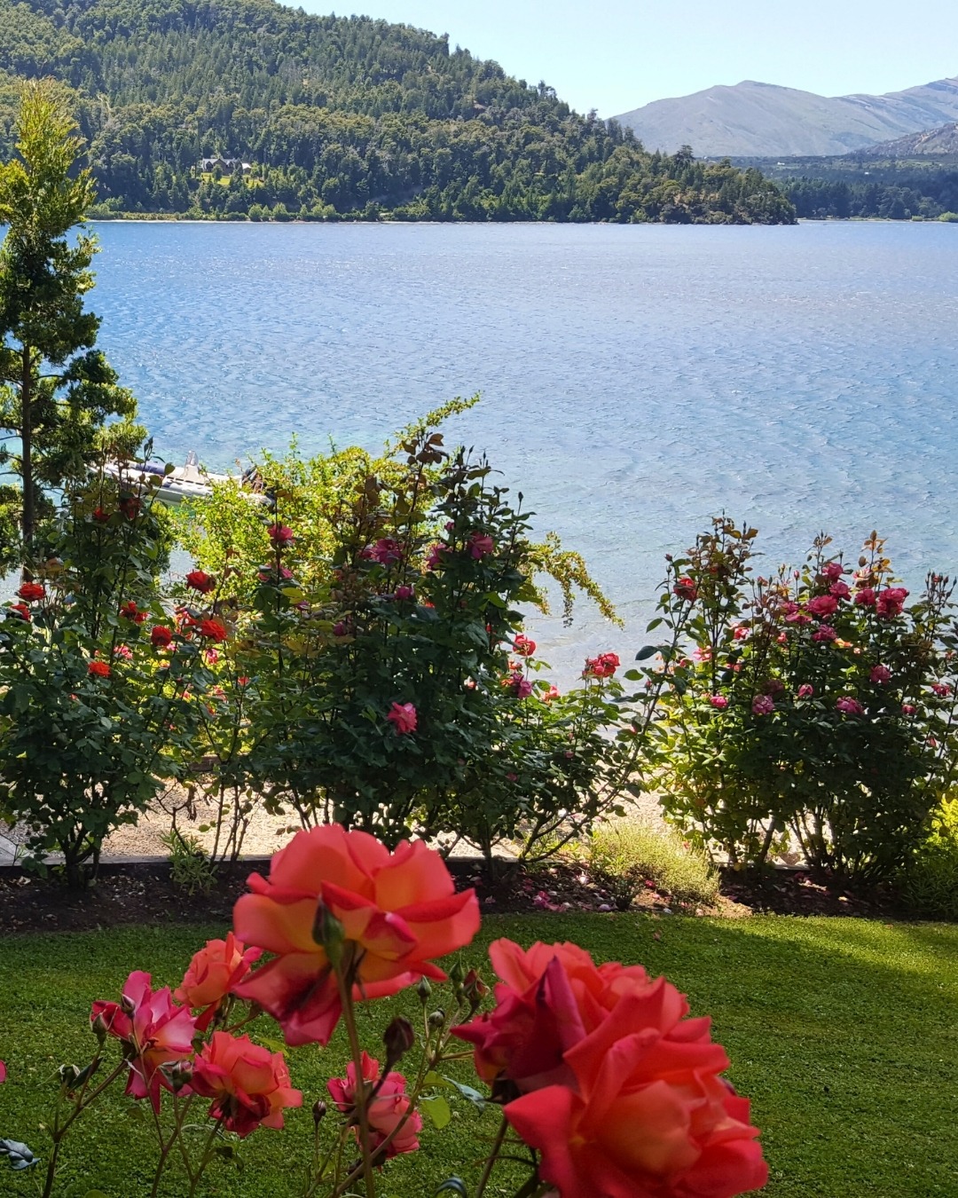 Sol, naturaleza, aire puro y el descanso que necesitás 🌿
Reservá tus vacaciones de verano en Refugio del Lago, a solo minutos del centro de Bariloche.
#refugiodellago #bariloche #patagonia #argentina
