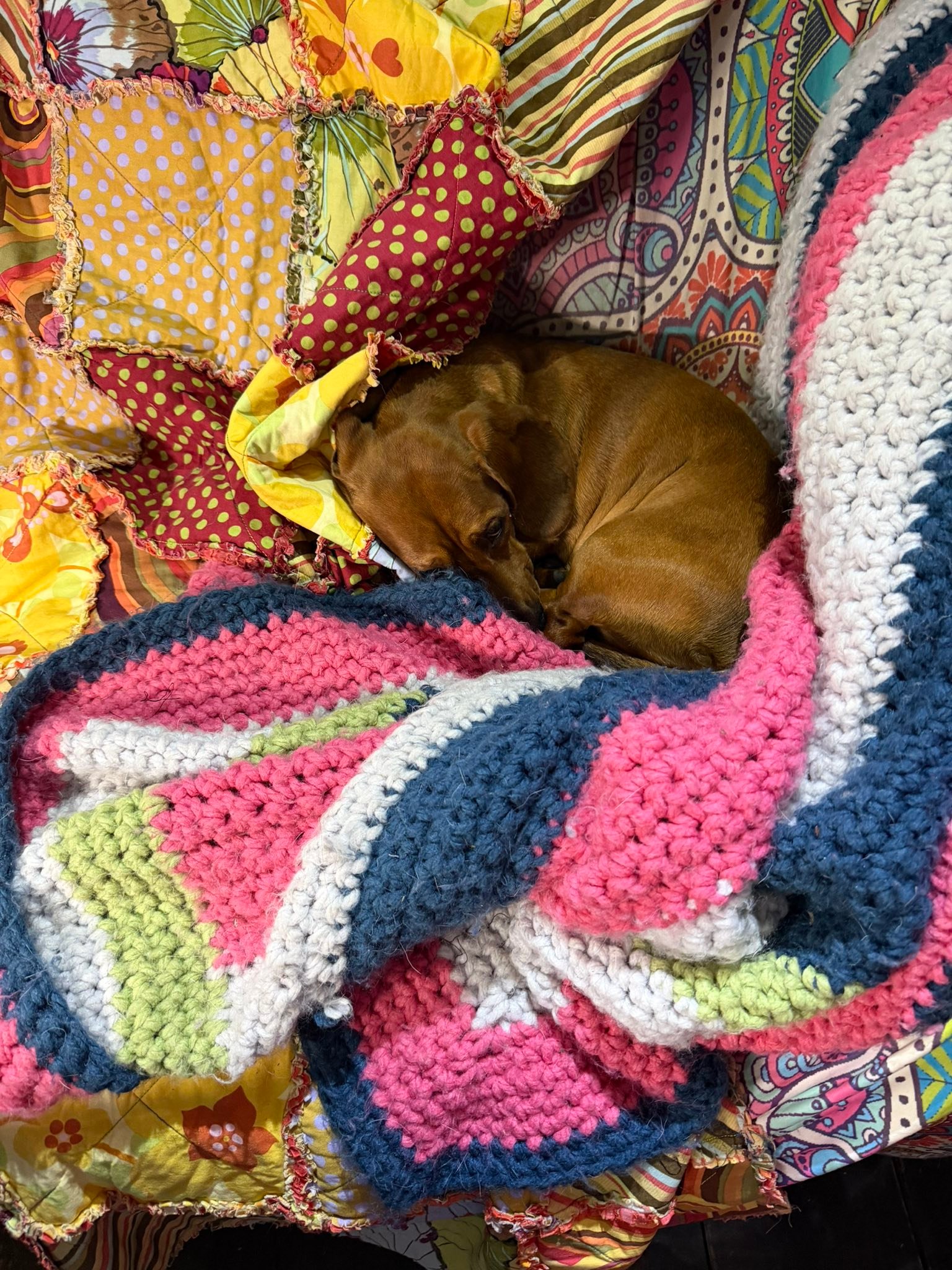 Well that’s Bob very snuggled up! Fred likes to survey the area ….