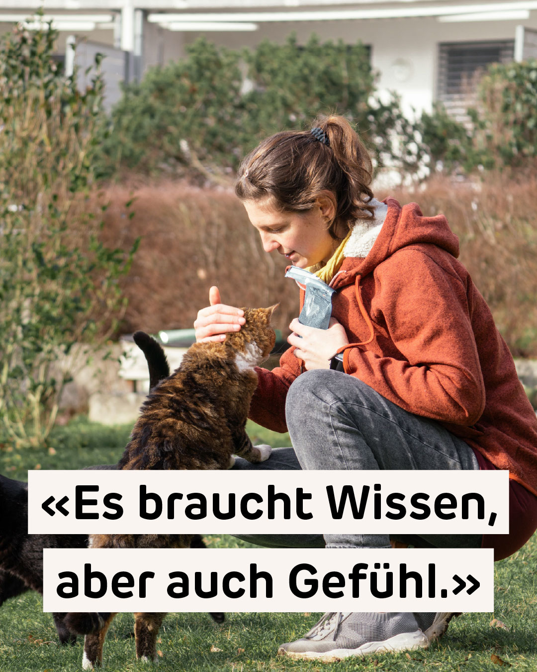 Was braucht es für richtig gute Katzenmedizin? Das Fachliche ist das eine, sagt unsere Geschäftsleiterin Carol Zahnd.
Sie hat über die Jahre viele katzenmedizinische Weiterbildungen absolviert. So hat sie zum Beispiel das internationale Zertifikat mit dem Namen «GPCert(FelP)» – alles klar, oder? 😝 Die Abkürzung steht für «General Practitioner Certificate in Feline Practice», also für das Rundum-Katzenmedizinerinnen-Zertifikat. Um das zu erhalten, musste sie nicht nur viel zusätzliche Theorie lernen, sondern das Ganze auch nachweislich in ihrer Berufstätigkeit anwenden.
Ebenso wichtig ist aber die Einstellung und das Gefühl. Nur wer wirklich Freude an Katzen hat, sich für sie interessiert und die nötige Rücksicht und Geduld mitbringt, kann das ganze Wissen auch sinnvoll einsetzen. ❤️
Wie unterschiedlich Katzen-Bedürfnisse sein können, sieht Carol Zahnd jeden Tag bei ihren beiden Katern Kiki und Elvis (im Bild). Kiki ist ein gemütlicher und vorsichtiger Geniesser, Elvis ein unberechenbarer Abenteurer. Die beiden könnten glatt ein Zertifikat anbieten, vielleicht «KEZert(EingIB)» – das Kiki-und-Elvis-Zertifikat fürs Eingehen auf individuelle Bedürfnisse.
Sind eure Büssis auch total unterschiedlich und was habt ihr von ihnen so gelernt? 🤔
Danke an @lscphotographie_ für das tolle Foto von Carol Zahnd mit ihren beiden Lehrkräften Kiki und Elvis!
#katzen #katzenliebe #katzenpraxis #Solothurn