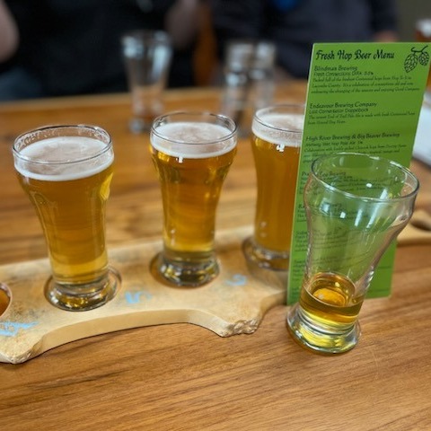 What's on tap?
Our list of currently available beers brewed with Alberta grown hops has been updated! Head over to albertahops.ca to see what's on tap near you!
#albertahops #freshhops #wethops #wethopped #albertagrown #ahpa #asba