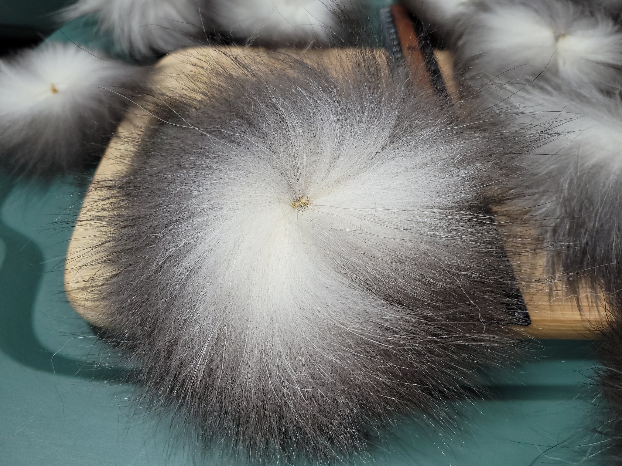 AAA Renard Mutation Tip Gris Charcoal Naturel- Section de Queue - Tail Rings
Seulement $5.99
https://www.shedaplumes.com/product-page/aaa-renard-mutation-naturel-section-de-queue-tail-rings