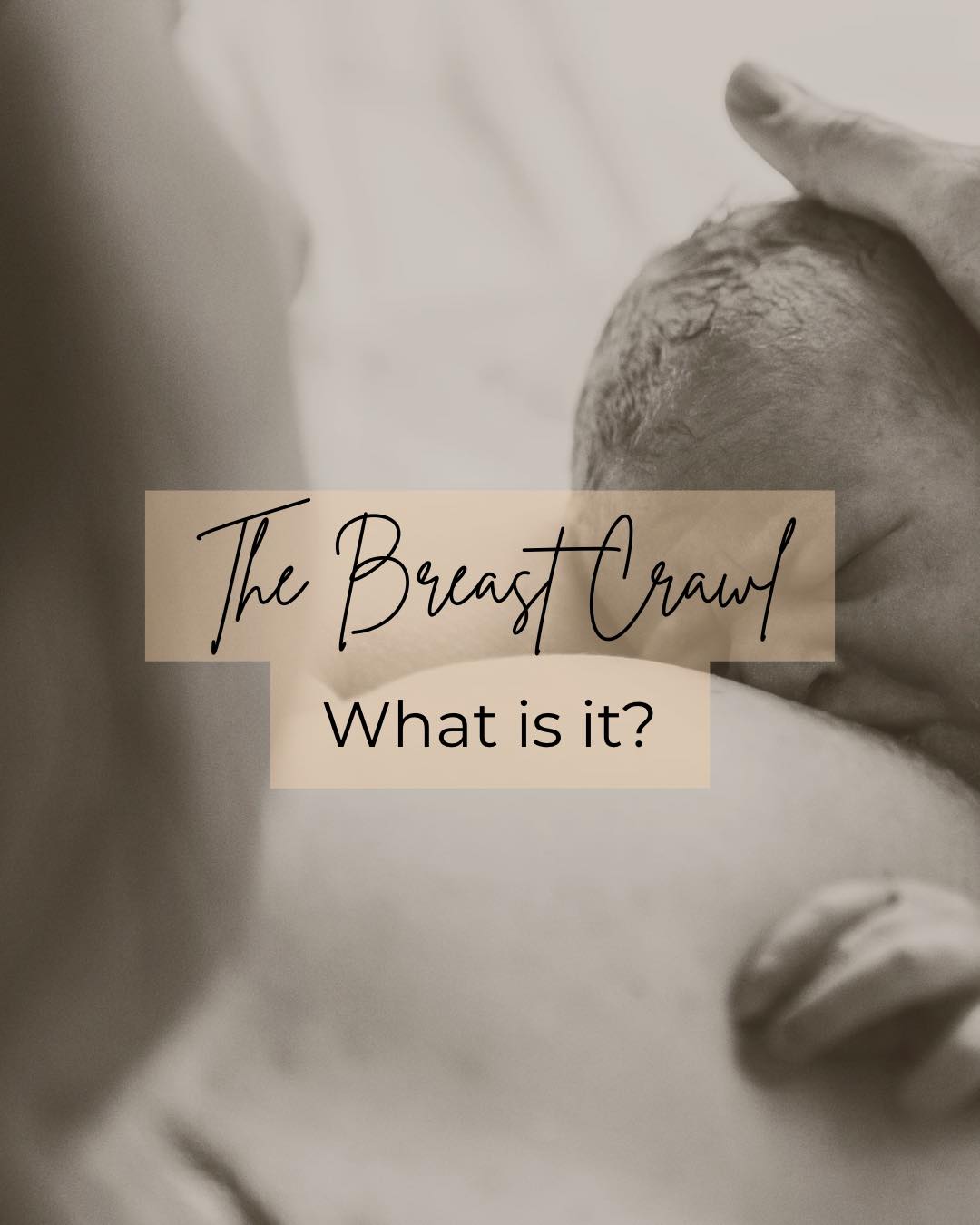 🌸 The Magic of the Breast Crawl 🌸
Your baby is born with an incredible instinct, they know how to find the breast.
When placed skin-to-skin right after birth, babies often follow a natural process called the breast crawl, moving toward the breast and initiating their very first feed. It’s a beautiful, instinctive journey that helps regulate their temperature, breathing, and heart rate, while supporting bonding and milk production.
Here’s what typically happens during those first moments:
✨ 1️⃣ Resting
Baby snuggles on your chest, taking in your warmth, heartbeat, and scent.
✨ 2️⃣ Waking Up
You may notice little movements, opening their mouth, moving their hands, exploring.
✨ 3️⃣ Crawling
Using tiny kicks and reflexive movements, baby makes their way toward the breast.
✨ 4️⃣ Head Positioning
As they get closer, baby adjusts their head, guided by smell and touch, preparing to latch.
✨ 5️⃣ The First Latch
Baby finds the nipple and begins feeding, often on their own.
This process can take up to an hour, and it’s worth giving your newborn that uninterrupted time. Even if a full breast crawl isn’t possible immediately after birth, skin-to-skin at any time in the first hours or days is still hugely beneficial.
💛 Trust your baby. They already know what to do, your calm presence and gentle support are all they need.
#breastcrawl #skintoskin #newborninstincts #fourthtrimester #breastfeedingjourney #lactationsupport #littlelatch