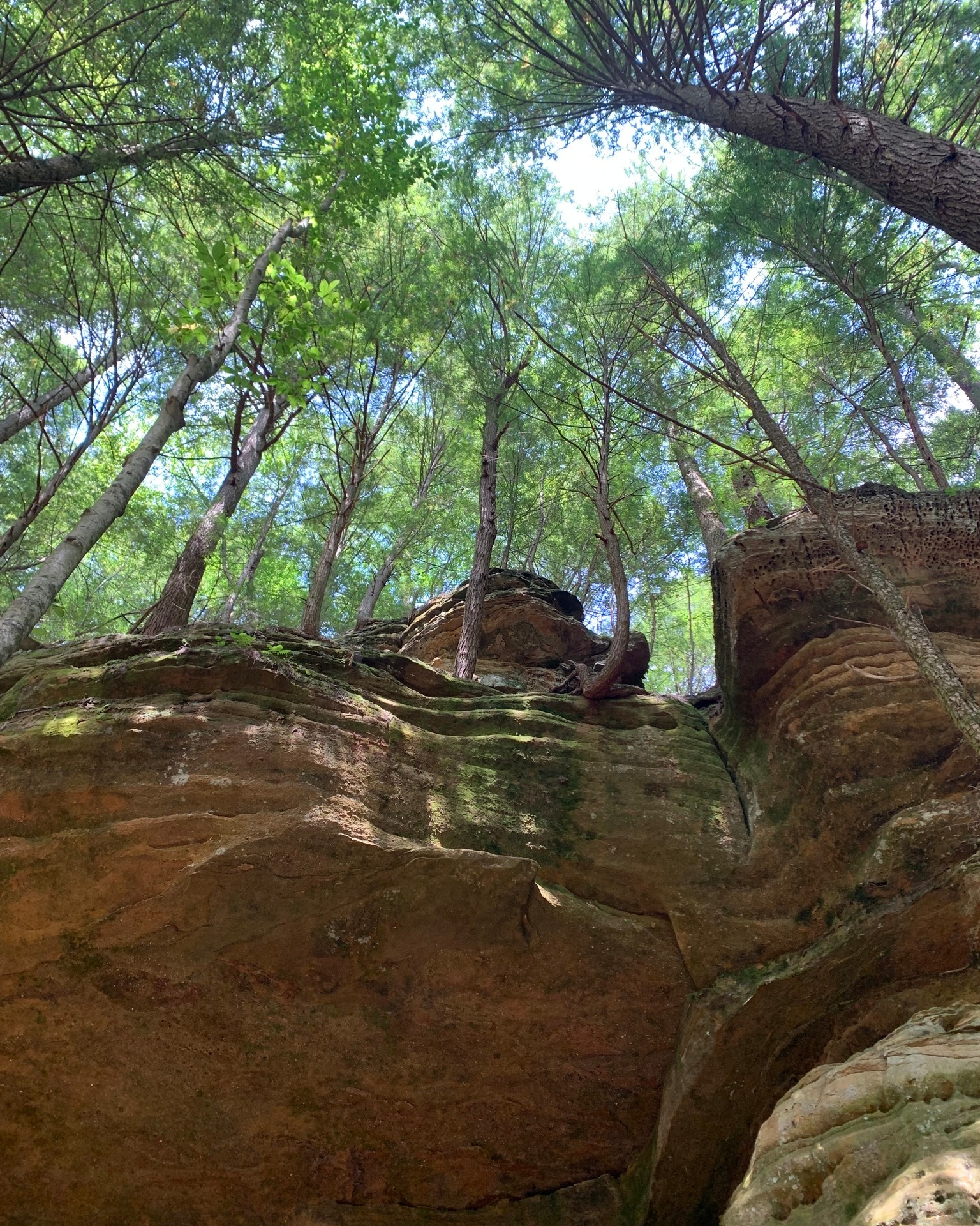 Trees are amazing things. I love how they can cling tenaciously to cliff faces and dig into rock. Here, where there’s sandstone, they seem to have an easier time of digging their root-fingers into the rock to anchor themselves.
#nicolasolvinic #thehuntersdaughter #thesisterscurse #mysteryauthor #crimeauthor #thrillerwriter #criminology #crimefiction #crimethriller #crimenovel #suspensenovel #thrillerbook #murdermystery #mysticalforest