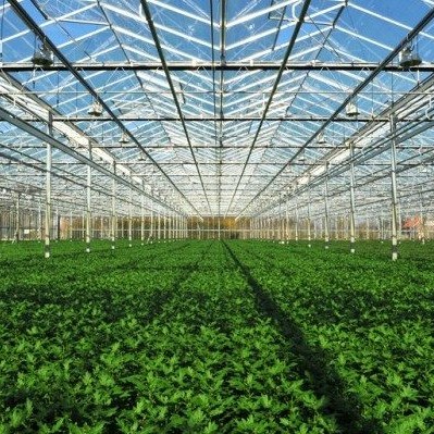 2026 Scheme of Investment Aid for the Development of the Commercial Horticulture Sector
The Scheme of Investment Aid for the Development of the Commercial Horticulture Sector is intended to assist in the development of the horticulture sector, including beekeeping, by grant aiding capital investments in specialised plant and equipment including renewable energy, as well as technology adoption specific to commercial horticulture production.
The deadline for receipt of completed applications is 5pm on Friday 12th December 2025.
Application details - https://scanner.topsec.com/?d=1342&r=show&u=http%3A%2F%2Fbit.ly%2F3Jffxvo&t=0b76f70ad28cae6d11988fb5b6455ce828beab69
#horticulture #carlow #kilkenny #agriculture #farming