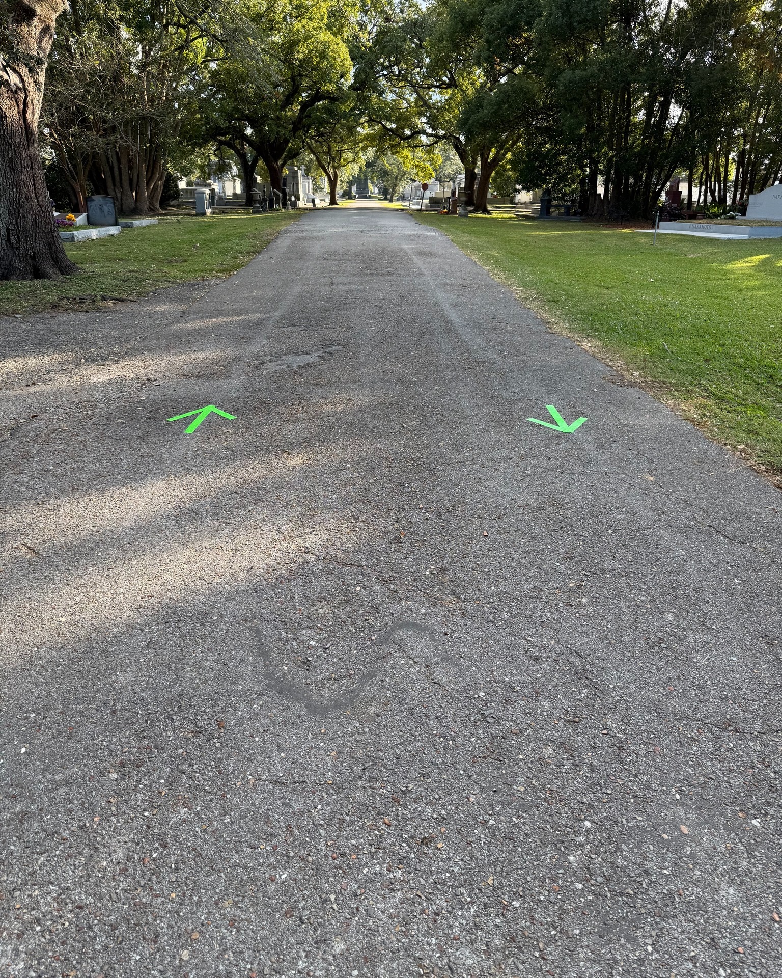 Getting ready for the 58th Annual Al Briede Gold Cup and 2025 NOTC Grand Prix Series Finale powered by Louisiana Running & Walking Company. Still time to register! Head on over to runnotc.org for more info.
See the strava course map link below.
https://www.strava.com/routes/3240155816408541916