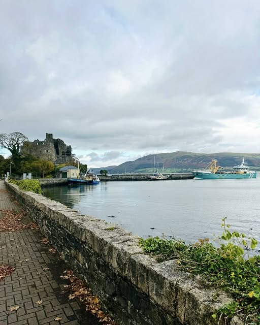 🍂 Autumn has arrived in Carlingford, and the town is glowing with golden charm. 🍁
The crisp air carries the scent of the sea, the streets sparkle with colourful leaves, and cosy pubs & restaurants invite you in for music, laughter, and delicious seafood. 🎶☕
Stroll along the waterfront, explore the historic castle, and let the calm of the season surround you. Whether it’s a warm drink with a view or a relaxed lunch in town, Carlingford in autumn is pure magic. ✨
Plan your visit today find out more on www.sealouth.ie/carlingford
#SeaLouth #IrelandsAncientEast #KeepDiscovering #See #Eat #Admire #VisitCarlingford #VisitLouth #AutumnVibes #IrishTravel #ExploreIreland #Carlingford #CooleyPeninsula
Credit Visit Carlingford