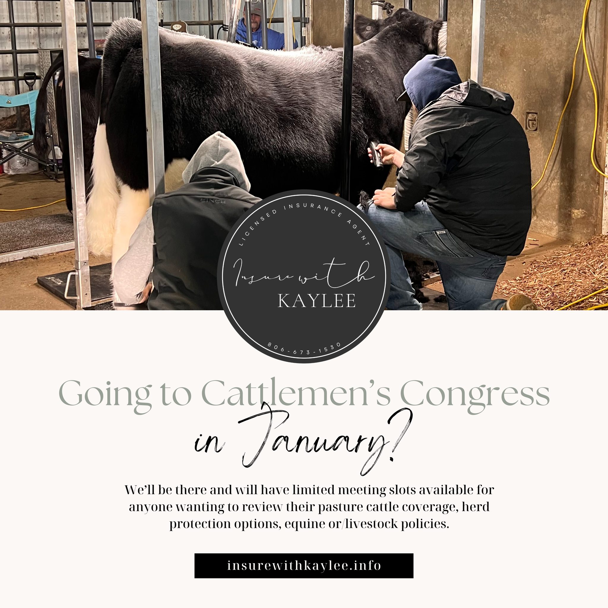 Cattlemen’s Congress will be here before we know it! 💜
If you’d like to sit down and talk pasture cattle coverage, herd protection options, or anything livestock-related while we’re there, I’d love to get you on my calendar.
Just shoot me an email at insurewithkaylee@gmail.com
or send me a message on here!
https://www.insurewithkaylee.info/