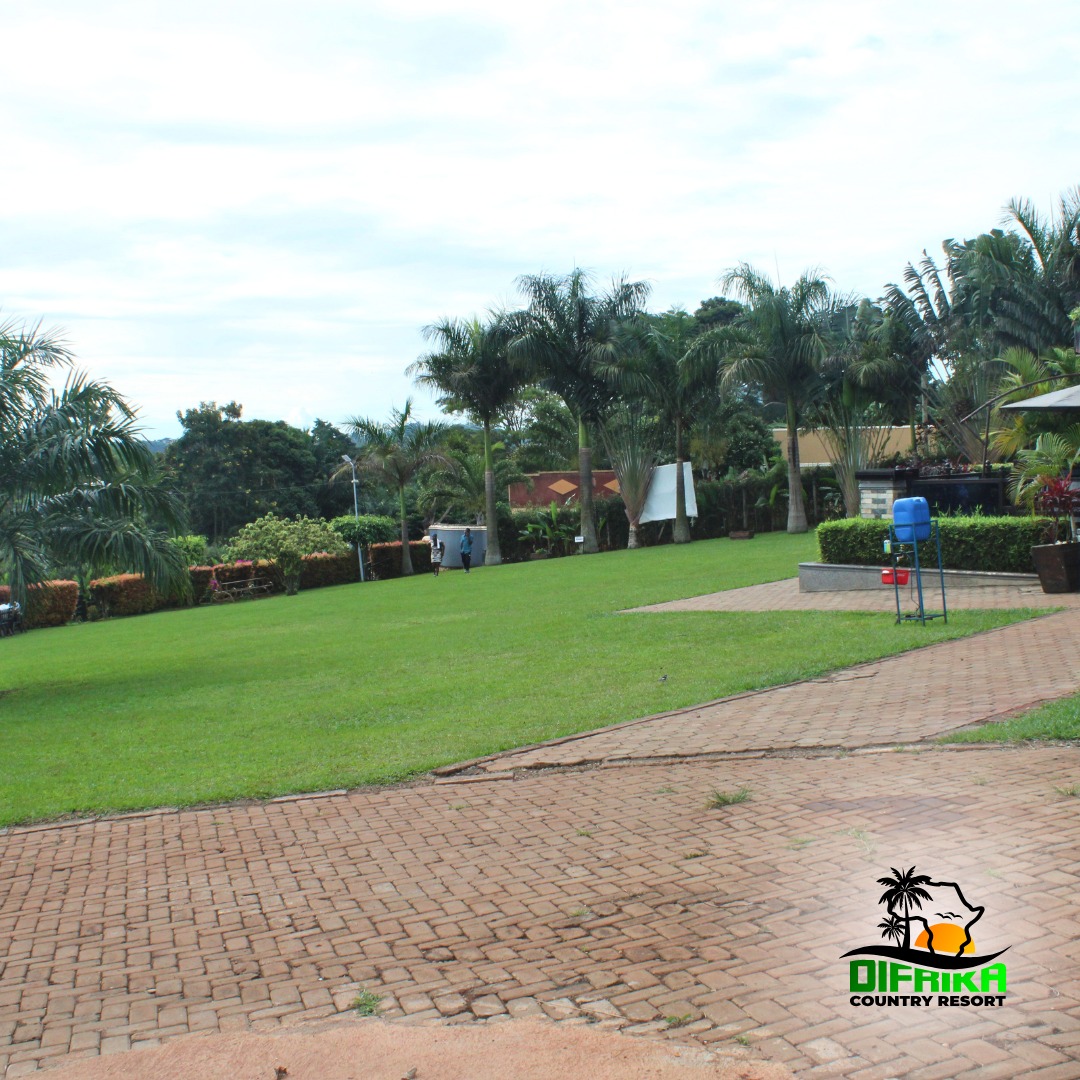 Reset together before December rush 🤝
Plan your Team Escape this November 2025 at Difrika.
#TeamRetreat #EndOfYear #CorporateEventsUG #TeamBuildingUG #OffsiteUganda #MeetingsAndEvents #GroupPackages #VisitUganda