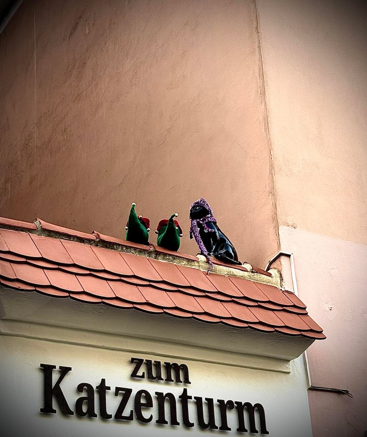 Am Lichtspielhof, da kracht’s im Schacht,
der Wichtel hat die Nacht verbracht.
Er klebt noch leicht ein Wichtelklecks –
der Katzenturm macht ihn komplett perplex. ✨
Die Katze sitzt wie Diva pur,
mit Blick „Probier’s… doch nur auf Tour!“
Der Wichtel ruft: „Ich hab ’nen Plan!
Heut’ zieh ich dich in Winter an!“
Er setzt die Mütze – schief, zu bunt
die rutscht der Katze bis zum Mund.
Der Schal hängt runter, schlängelt krumm
die Katze zischelt: „Ehrlich… dumm!“ 😼
Doch Wichtel grölt: „Jetzt bleib mal stehen!
So kannst du überall hingehen!“
Die Katze guckt nur halb empört –
der Wichtel jubelt ungestört.
Dann stolz marschiert das Doppelteam,
der Hof ruft lachend: „Was ein Dream!“
Doch Wichtel dreht sich kurz einmal –
da rennt die Katze – Turbo-Schal!
Der Wichtel schreit: „Halt an, mein Tier!
Das ist doch Heute Couture von mir!!“
Er fliegt kopfüber in den Schnee –
die Katze schnurrt: „Ach… tut das weh?“ 😹
Zum Schluss maunzt sie – fast elegant:
„Na gut, du Clown… mach dein Gewand.“
Und beide ziehen schief und froh
ihr Wichtel-Mode-Laufsteg so. 🎅🐱🎀
#LichtSpielHof #weilwireskönnen #wichteltag #geilegemeinschaft #wirhabenbock