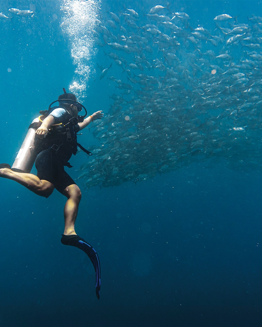 Take your island escape beyond the beach. 🌴
Enjoy a PADI Discover Scuba Diving experience at Blue Bay Dive Shop, perfect for first-timers staying at SETIR. 🐠
sunlighthotelsandresorts.com/setir-experiences
#DoseOfSunlight #ScubaDiving #Palawan #Philippines