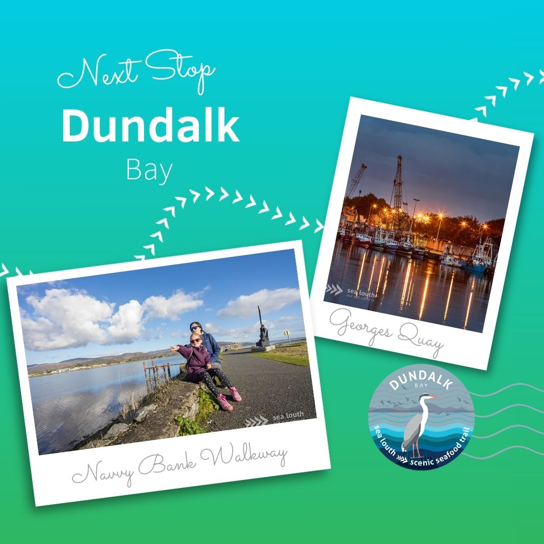 Next Stop: Dundalk Bay!
Experience the natural wonders of Dundalk Bay, a designated Special Area of Conservation and a hotspot for birdwatching enthusiasts. Stretch your legs along scenic pathways and boardwalks that meander from the Newry Road, along the Navvy Bank to Soldier’s Point, offering stunning estuary views and the chance to spot migratory flocks and rare species.
For local tips and your next Sea Louth passport stamp, be sure to visit the Dundalk Tourist Office. Plan your adventure and find out more at www.sealouth.ie/dundalk-bay
#thisisireland #scenicseafoodtrail #keepdiscovering #countylouth #dundalk #SeaLouth
Credit Sealouth