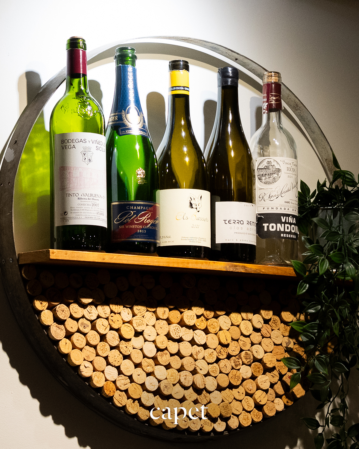 La selección destaca por su variedad y carácter.
Una presencia sencilla que acompaña la esencia del espacio.
🔗 Reserva fácilmente desde el enlace en nuestra bio
📍 Carrer del Cometa, 5, Ciutat Vella, 08002 Barcelona
📞 937 20 44 21
#capetrestaurante #barcelonarestaurants #cocinahonesta #temporadaencapet #restaurantesbarcelona #guíamichelin #cocinadeautor #cocinatecnica #productolocal #barriogotic