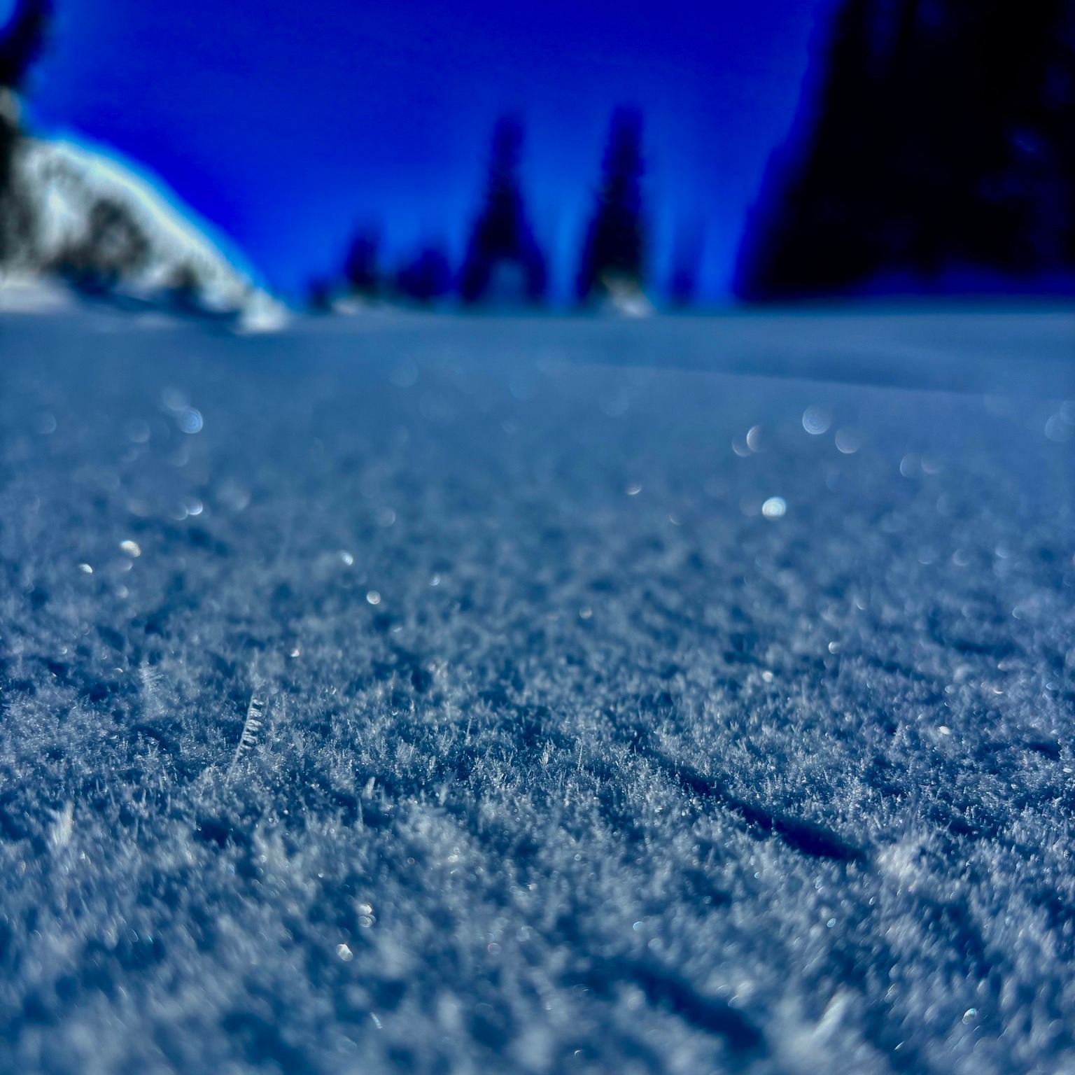 Is snow not the best thing on the planet?? It is, but it can also be a tricky beast to deal with. Surface hoar is back in our lives again out here. Keep it front of mind when you're out there planning to shred!
#snowboardingseason #mountainlife #mountainsarecalling #explorebc