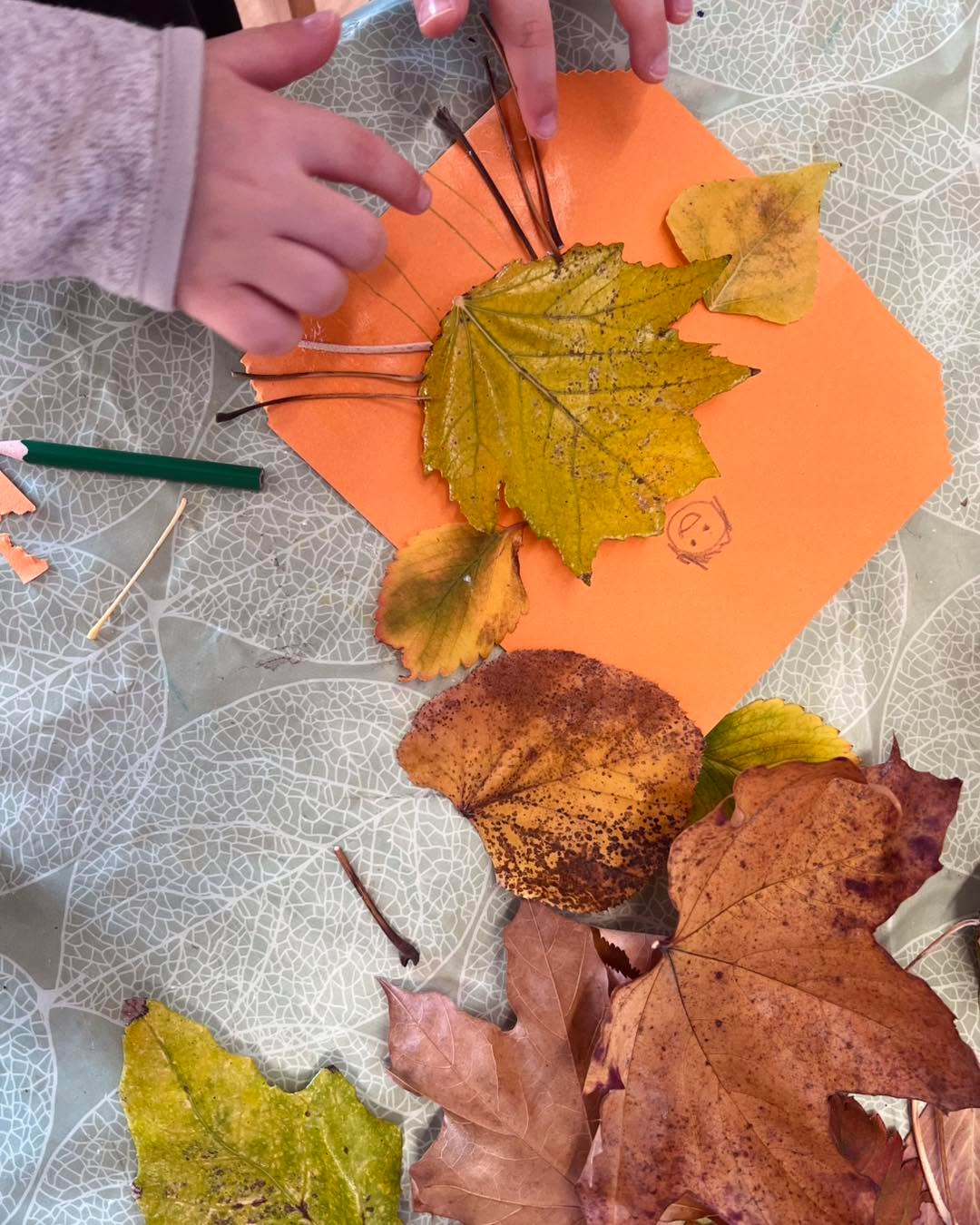 Különböző színű és formájú falevelekből bármi is készülhet- kreativitásnak nincs határa nálunk 🍁🍂🦔. #babolygó #óvoda #alkotás #art #children #preschool #fall