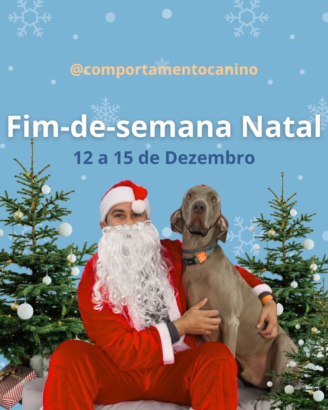 O Natal chegou também para os nossos patudos!
Preparamos dias cheios de atividades mágicas, divertidas e educativas, tudo pensado para proporcionar momentos de alegria, socialização e bem-estar. Entre caça à prenda, festa da neve, oficina dos elfos e até fotos com o Pai Natal, não vai faltar espírito natalício, biscoitos caseiros e muita diversão! 🎅🐾
Um fim de semana para celebrar, relaxar e criar memórias felizes!
#ComportamentoCanino #NatalCanino #PatudosFelizes #CentroCanino #FestaDeNatal #CrecheCanina #BemEstarAnimal #DiversãoCanina #EspíritoNatalício #CãesFelizes