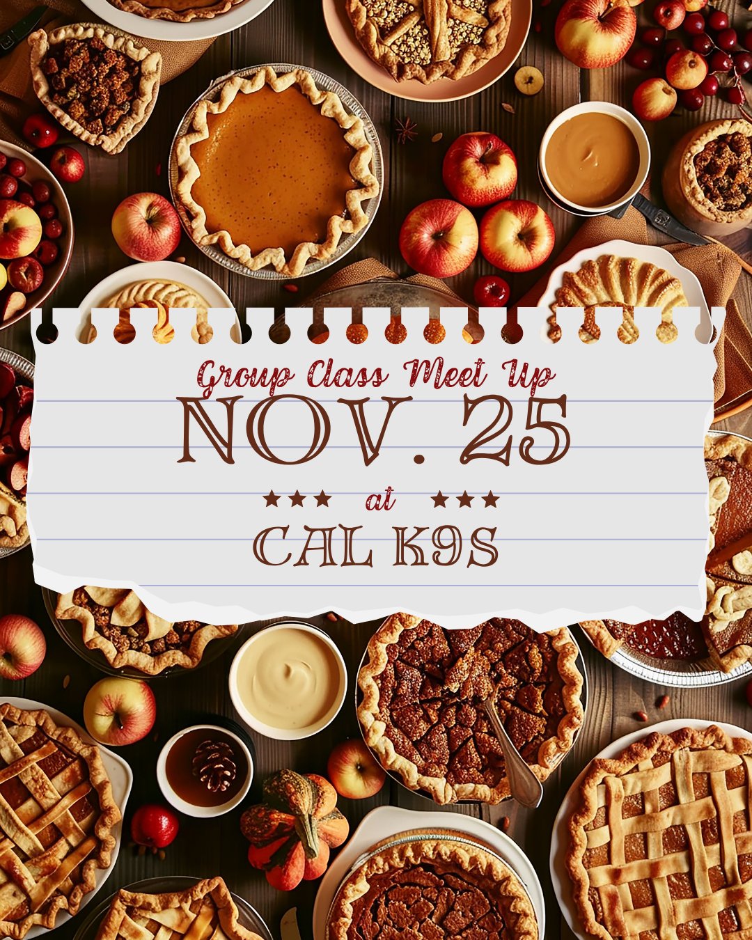 Group Class Meet-Up for Previous Training Clients
Time: 2–4 PM
Join us for a fun and relaxed meet-up! We’ll let the dogs play and run around the field to burn off some energy and enjoy social time together.
We’ll also spend some time refreshing key skills, including:
Leash-walking practice
Stand-on-the-leash/tether exercises
Q&A session for any training questions you may have
It’s a great chance to reinforce training, practice new skills, and ask questions. We look forward to seeing you and your dogs there!
Bring your dog's ecollar, prong collar, and snackos!