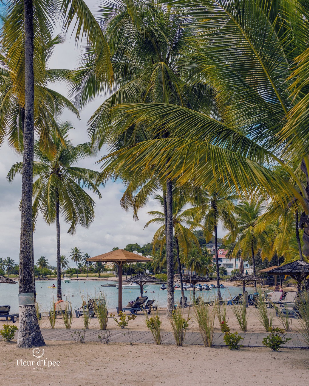 Et si on parlait des transats ? Sur la plage, les transats ils sont installés pour la journée à partir de 09h en général et prêts à être… exactement ce dont vous avez besoin :
✔️ Pour les amateurs de farniente : installation face à la mer, lunettes de soleil, livre à la main… et on laisse le soleil faire le reste.
✔️ Pour les familles : un transat à l’ombre pendant que les enfants jouent dans l’eau à deux pas, c’est la tranquillité garantie.
✔️ Pour les télétravailleurs en mode “vacances-actives” : oui, répondre à deux mails avec la mer en fond sonore, c’est possible (et tellement mieux).
✔️ Pour les fans de bronzage : confortablement allongés, vous avez l’emplacement parfait pour optimiser votre séance.
✔️ Pour les duos : deux transats côte à côte, parfaits pour papoter, rire… ou siester en synchronisation.
Peu importe le programme de votre journée, il commence très bien ici : posé(e), installé(e), face au bleu.
#plageguadeloupe #transatplage #plagehotel