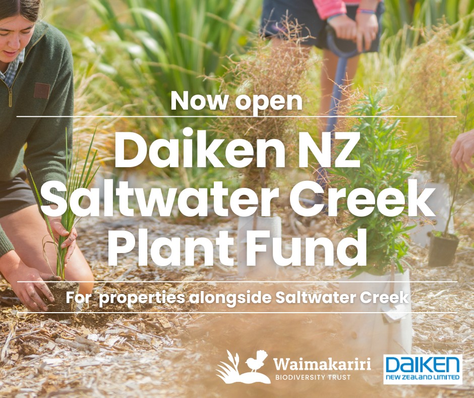 Daiken NZ is sponsoring the Waimakariri Biodiversity Trust, giving $15,000 over two years (mid 2025 to mid 2027) under the Restorative Justice programme following the effluent spill into the creek in 2023.
The Trust is seeking applications for the purchase of native plants to be used alongside Saltwater Creek or within 200m of the main stem or tributaries.
The objective of the fund is to support native biodiversity initiatives occurring within Daiken property boundaries, aimed at ultimately improving the health of the waterway.
The Trust will allocate $7500 in early 2026 and will purchase plants on behalf of successful applicants.
Applications are open until 15 December 2025.
Find out more and apply: https://www.wbt.org.nz/daiken-saltwater-creek-fund