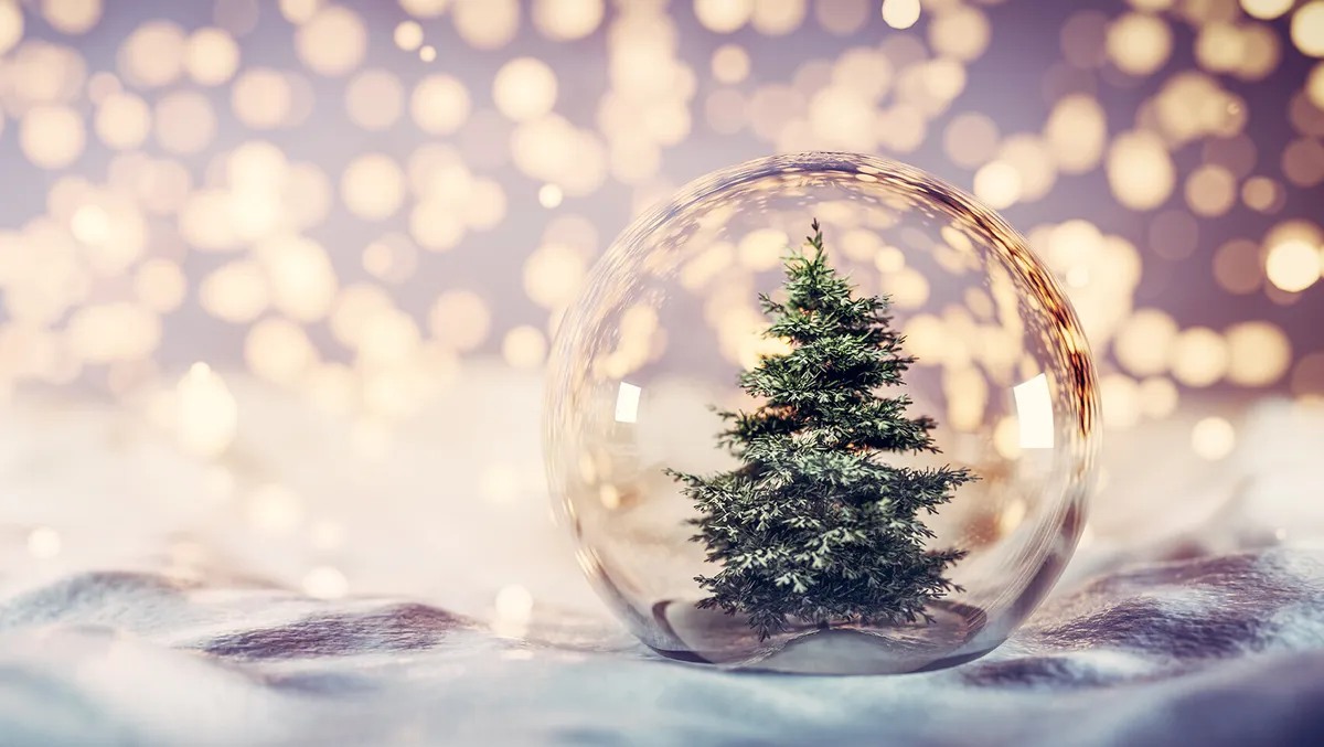 🎄 Pour une animation de Noël à la Boulangerie Mamie, nous recherchons quelques petits artisans / créateurs locaux intéressés pour participer à un mini marché de Noël le mercredi 3 décembre, de 9h à 11h30, devant la boulangerie.
➡️ Emplacements extérieurs — nous recherchons des exposants déjà équipés (barnum si besoin).
➡️ Participation gratuite, ambiance conviviale garantie ✨
Si vous êtes créateur, artisan, ou si vous connaissez quelqu’un qui pourrait être intéressé, contactez-nous :
📩 contact.boulangeriemamie@gmail.com
📬 ou en message privé
Merci d’avance pour vos partages ❤️
— L’équipe de la Boulangerie Mamie