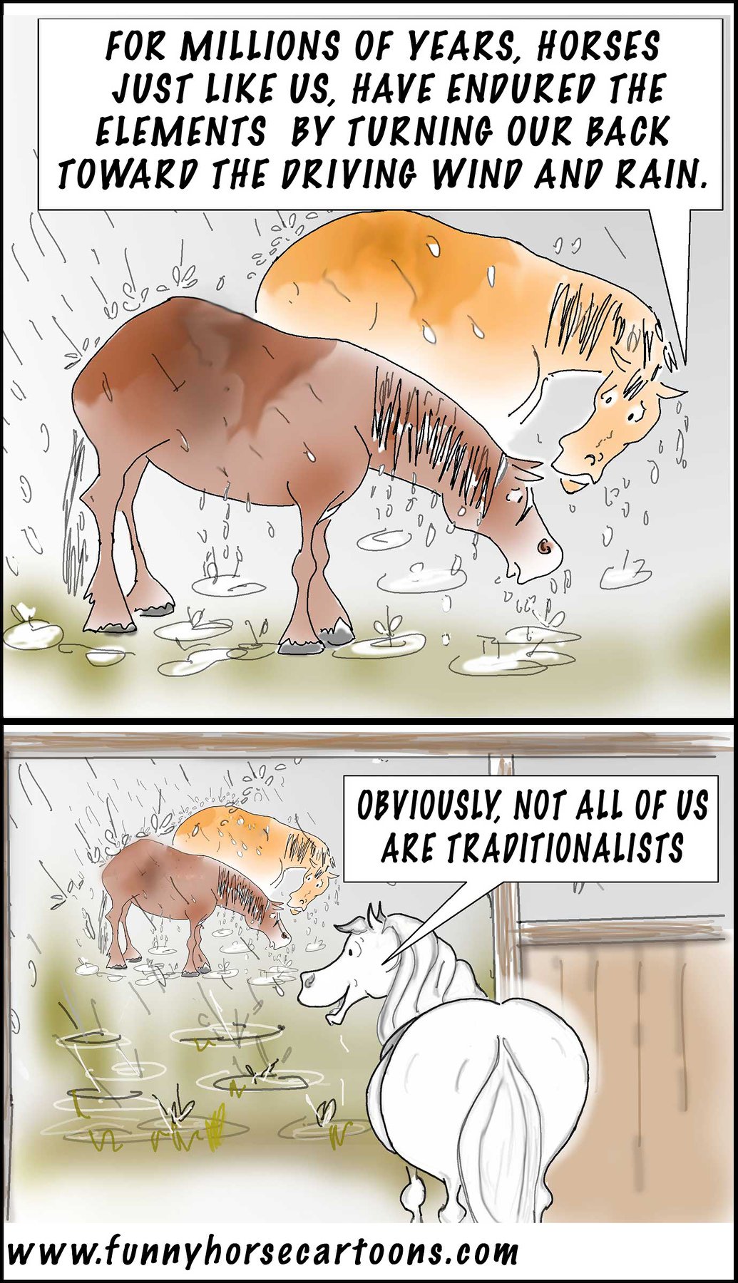 It's been a very wet week at Windy Hill Ranch and our horses all have different opinions about the rain...and even bigger opinions about the puddles left behind!