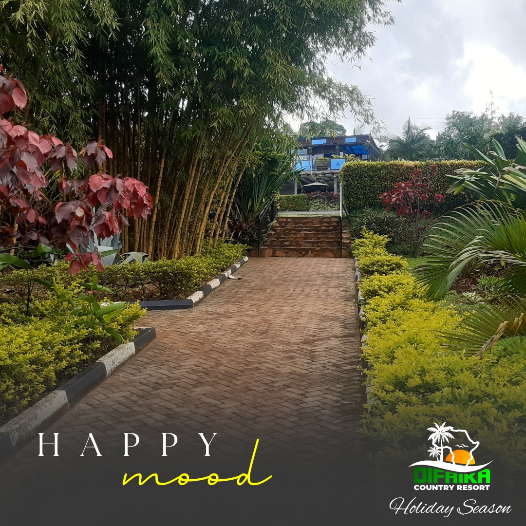 Cue the soft lights, clink the glasses—your Happy Mood Holiday escape is calling 💫
Make time for two at Difrika: sunsets, poolside calm, and a bonfire glow.
Includes
• 1–2 nights + breakfast
• Decor corner for a cute photo moment
DM or comment COUPLE for offers.
#HolidayForTwo #RomanticGetaway #HappyMoodSeason #SunsetVibes #ResortLife #UgandaTravel