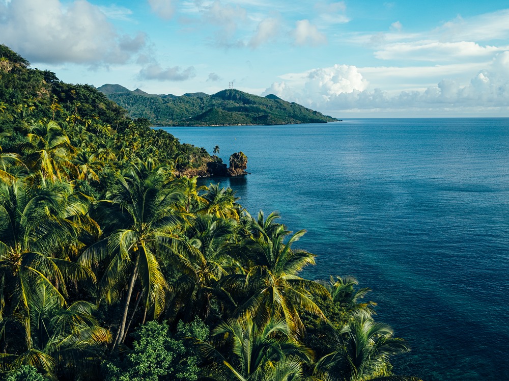 ✨ Ya salió nuestro boletín quincenal del Paraíso. ✨
Todo lo que está pasando en San Andrés, Providencia y Santa Catalina en un solo lugar: turismo, sostenibilidad, cultura, gastronomía y las historias que hacen vibrar al Archipiélago como Reserva de Biosfera Seaflower.
En esta edición encontrarás:
✔ A cinco años del huracán Iota: la resiliencia que renació en Providencia y Santa Catalina.
✔ Seaflower, 25 años: un aniversario que reafirma el compromiso con el turismo sostenible.
✔ Cámara de Comercio celebra 67 años impulsando el desarrollo empresarial del Archipiélago.
✔ San Andrés sigue siendo el destino favorito del Caribe colombiano.
✔ Providencia: protagonista de la Convención Anual del Grupo Turismo Total 2025.
Si amas estas islas o quieres planear tu próxima escapada, este boletín es para ti.
Léelo en el link de la bio.
#SanAndresyProvidencia #GuíaParadise #TravelParadise #TurismoSostenible #ReservaSeaflower #ViajemosConPropósito #ArchipiélagoMagico #IslasQueEnamoran #ViveElCaribeColombiano #NoticiasDelDestino #SanAndresIslas #ProvidenciaIslas