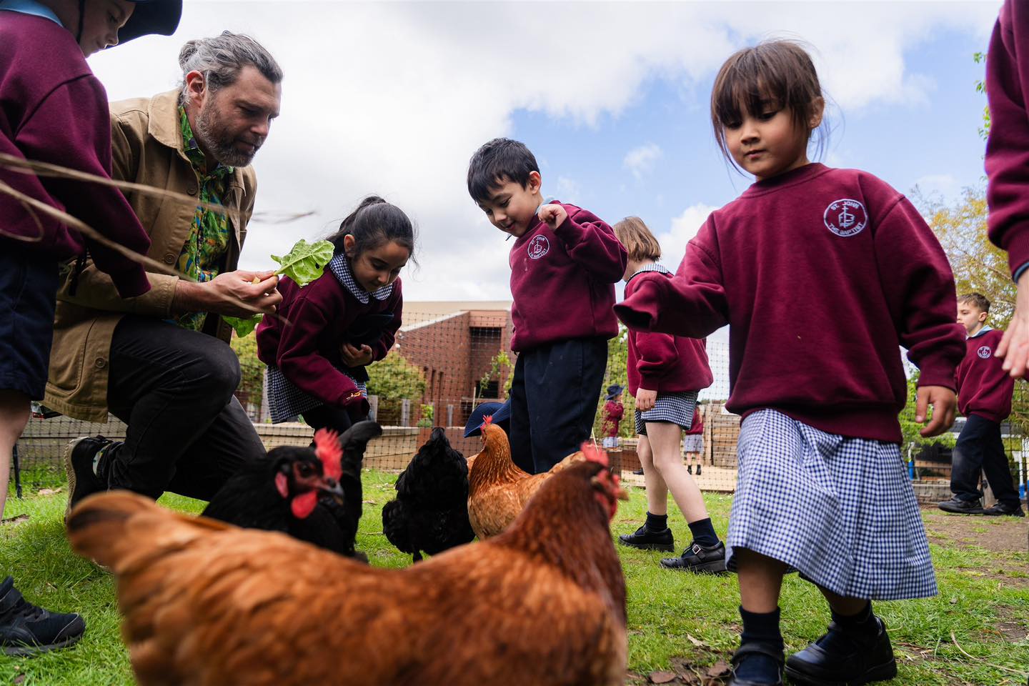 The chickens at St John the Baptist Ferntree Gully are absolute stars.
The children and parents adore them! The school community even built a wonderful coop from recycled materials. Such a simple, sustainable project that brings the community together 🖤.