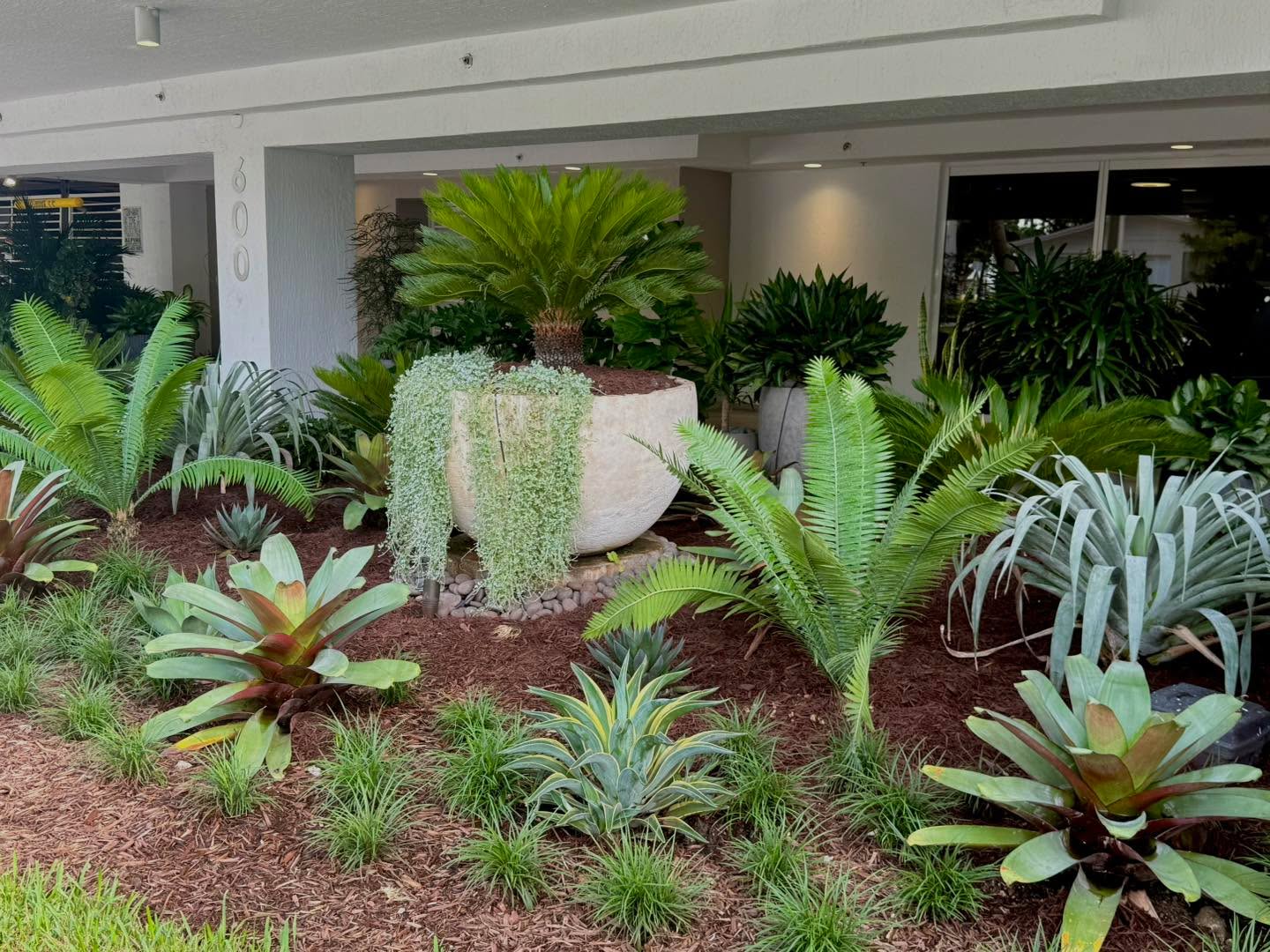 Bay House Miami Residences — Landscape Redevelopment 🌳
This project was about more than adding plants, it was about reimagining how residents and guests arrive. We used native and tropical species selected for wind resistance and architectural presence, layering textures and sculptural forms to create a refined yet resilient landscape. Bromeliads, sagos, and coastal natives anchor the entrance with structure, while strategic lighting and updated irrigation ensure long-term sustainability.
A modern Miami landscape, resilient, intentional, and rooted in place.
#NativePlantsFlorida #FloridaFriendlyLandscape #RegenerativeDesign #MiamiLandscapeDesign
#TropicalModernism
#LandscapeArchitecture
#DesignInspiration