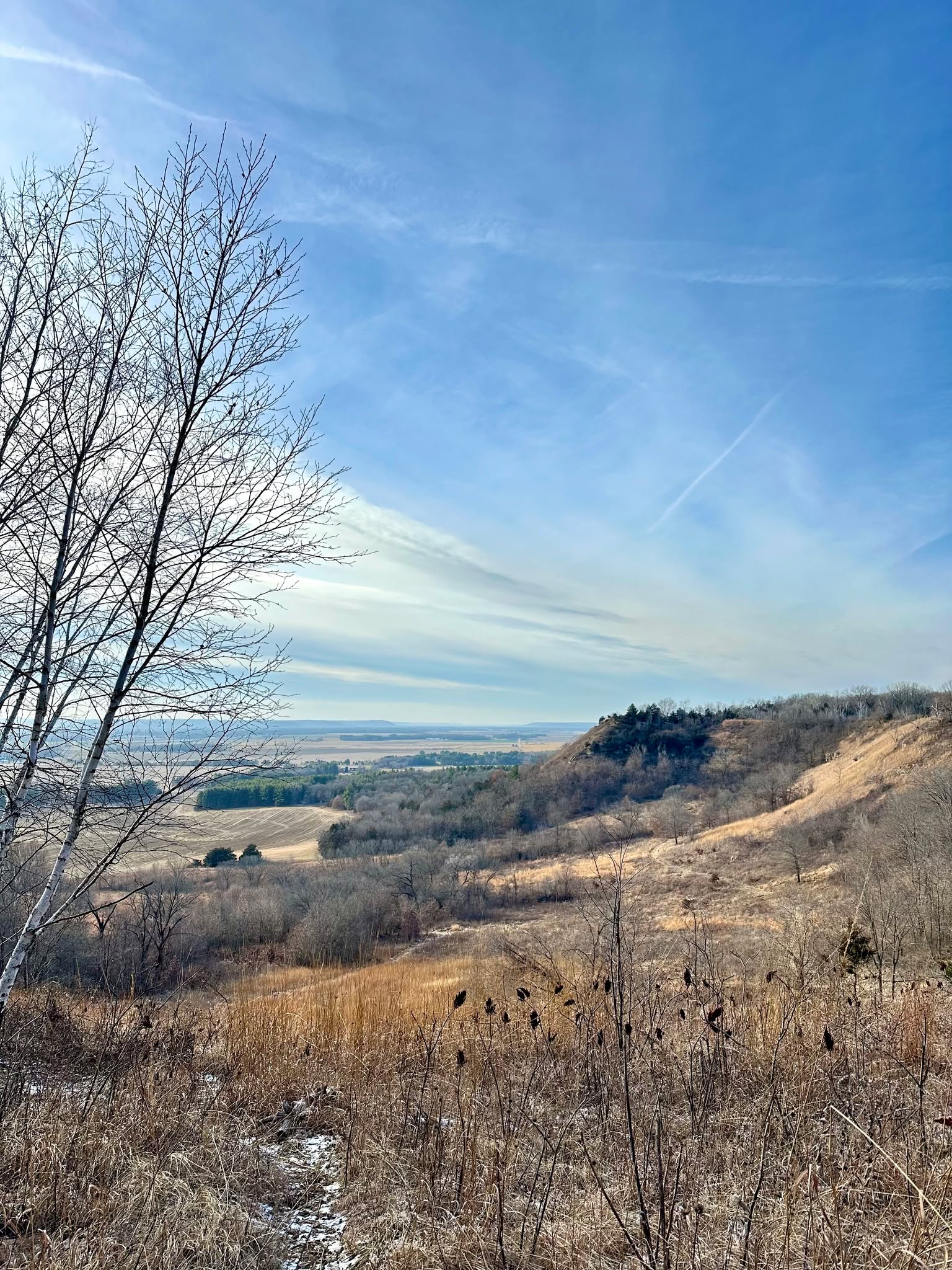 In case you didn't know, today (November 17th) is National Take a Hike Day!
There are so many beautiful spots in the Wisconsin Driftless Region to hike at, whether it be in your own backyard or on a public trail. Here is a (non-comprehensive) list of places you can hike in the WI Driftless Region:
🌲 Barneveld Prairie
🥾 Military Ridge Prairie Heritage Area
🌲 Blue Mound State Park
🥾 Governor Dodge State Park
🌲 Bloomfield Prairie
🥾 Wyalusing State Park
🌲 Thomson Memorial Prairie
🥾 Spring Green Preserve (location of all photos in this post)
Do you have a favorite hiking spot in the #driftlessregion that wasn't listed? Comment below!
#nationaltakeahikeday #hike #prairie #grassland #conservation #wisconsintrails #trails #protectnature