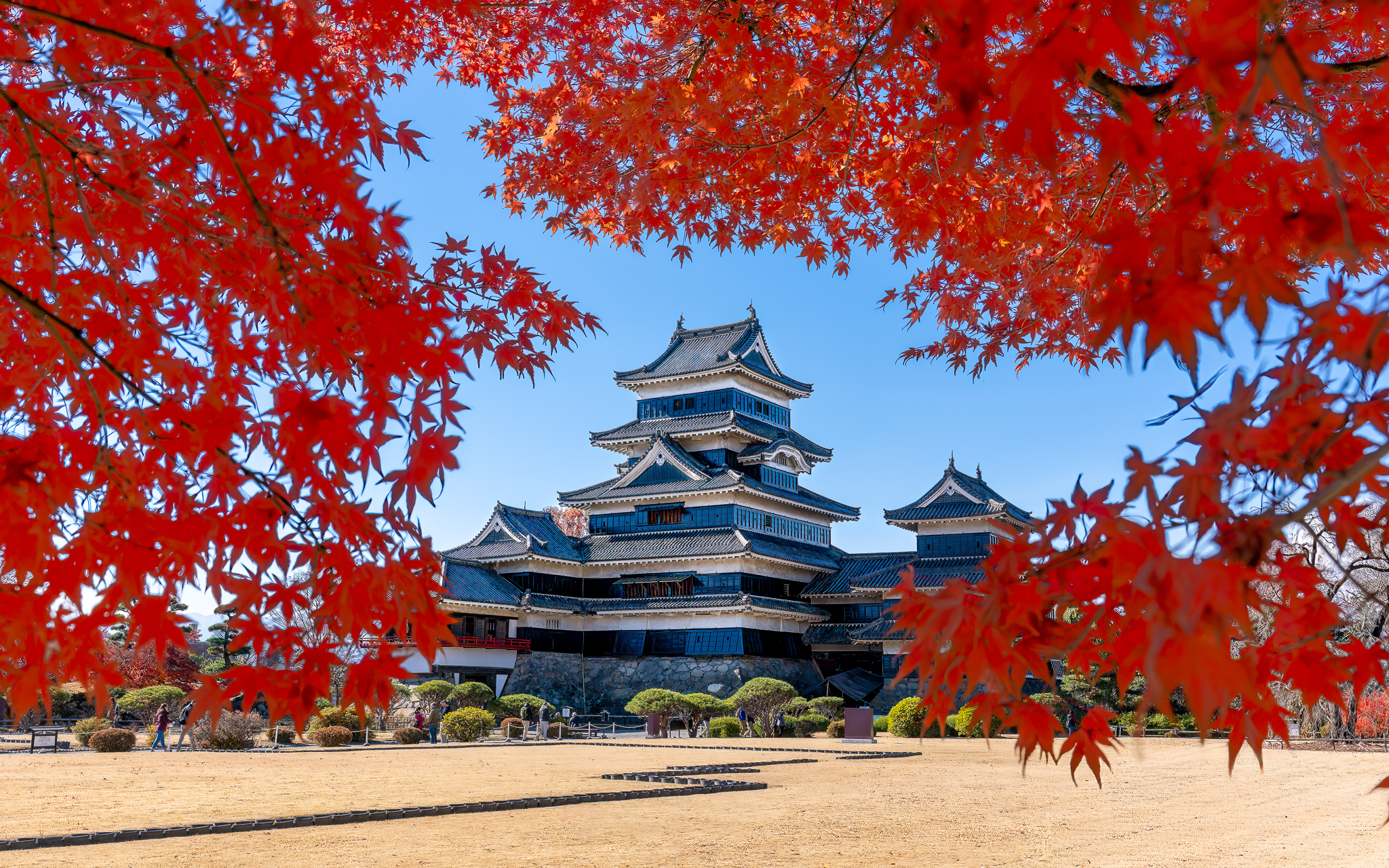 Every year when I return to Japan in Autumn for a tour, there are slight nuances to where the color happens. This year something is different, the colors are off the charts everywhere we have been. The forecast predicted it would be late, but we are here just at the right time.
If anyone is keen to join me next November, the workshop is now open on my website and we have just a few spots left (seriously just 1-2 spots open!) Link in the comments to my website to save a spot