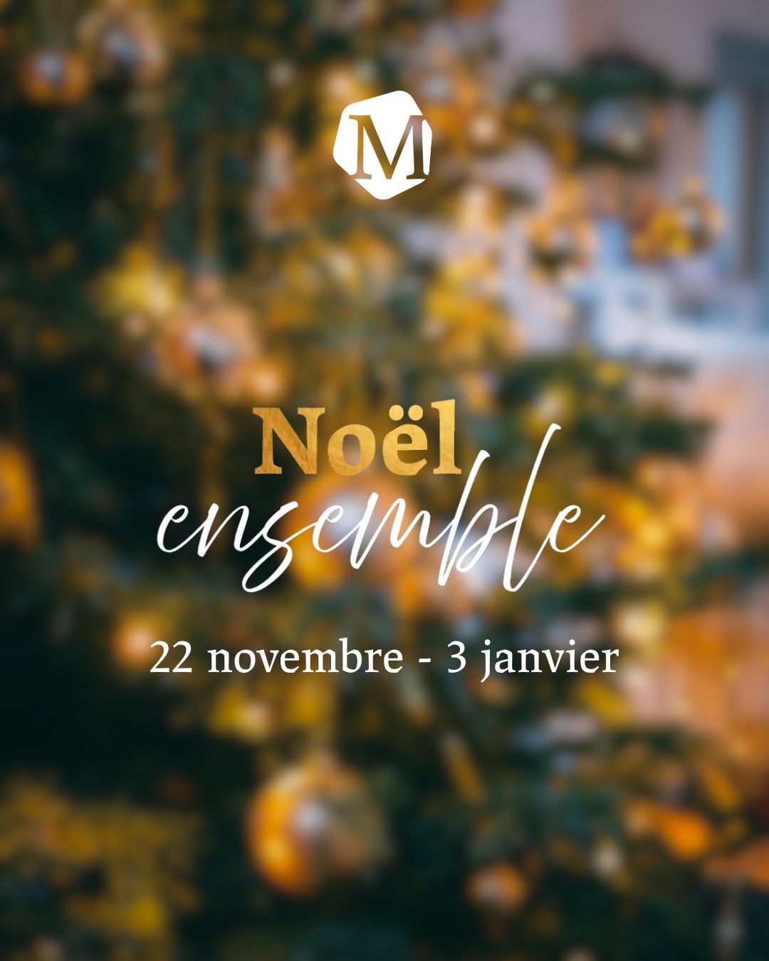 Noël se prépare… 🎁❄️
Nos équipes s’activent pour que chaque détail compte !
📍 Découvrez en boutique dès samedi 22 novembre notre offre cadeau pour les fêtes.
