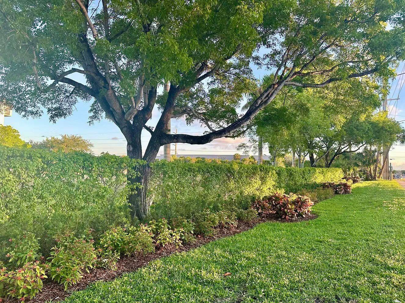 Avalina Assisted Living Facility — Landscape Redevelopment 🌱
What was once a commercial park is now a welcoming 11-acre assisted living campus, transformed through native trees, fresh sod, and thoughtful landscape design. We used soft, textural plantings to frame entrances, guide circulation, and soften the building edges — creating a calming, walkable environment for residents, visitors, and staff. A landscape designed for comfort, shade, and long-term resilience.
#AssistedLivingFacility
#WellnessDesign
#CommercialRedevelopment #LandscapeRedevelopment
#LandscapeProject
#FloridaFriendlyLandscape