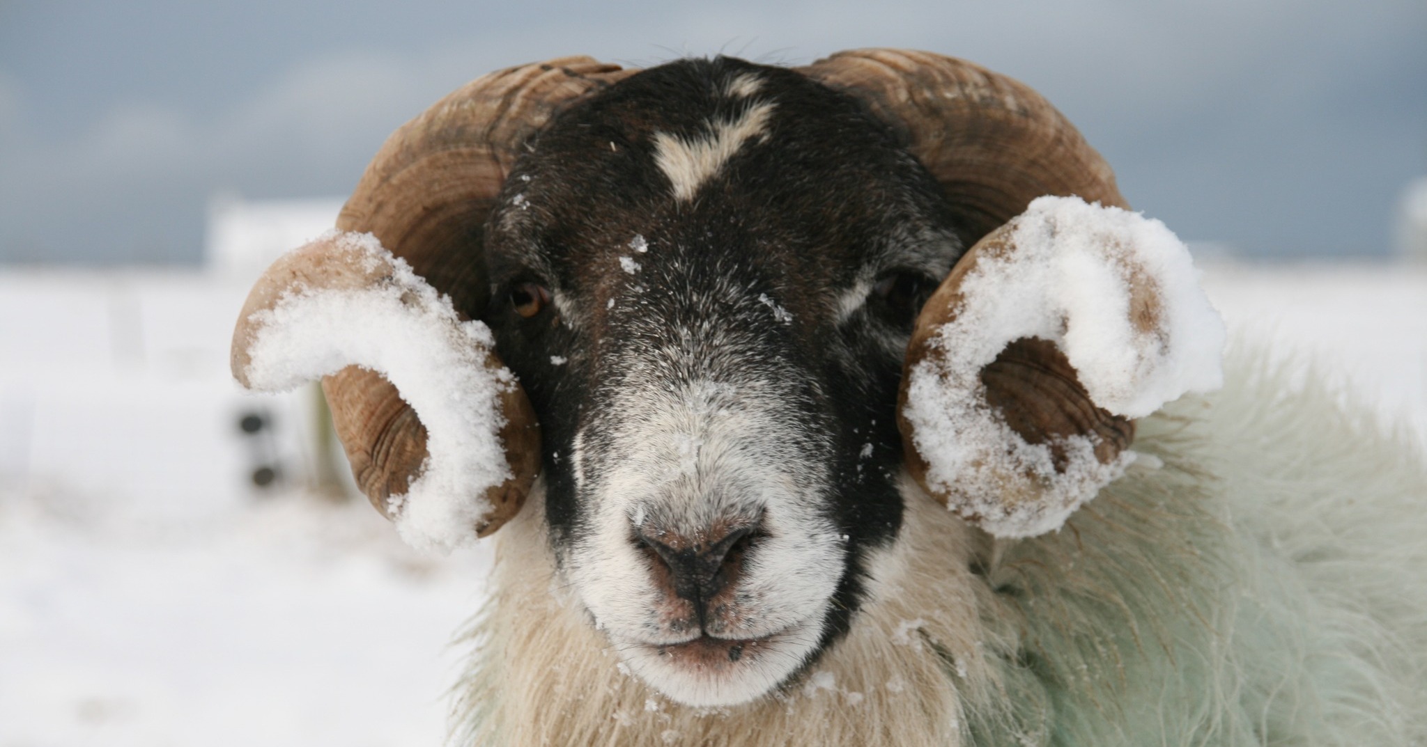 Celebrate Christmas in North Lewis āØšš
š»
This festive season, why not swap the usual for something a bit more magical? Escape to North Lewis for a Christmas break thatās peaceful, scenic, and full of quiet Hebridean charm.š
Settle into a cosy self-catering cottage, enjoy crisp coastal walks, explore outstanding landscapes, and experience the warm welcome of our local community. Whether youāre curling up by the fire with a hot drink or, if you're lucky, watching the Northern lights on a clear winterās night - the island offers a kind of calm you wonāt find anywhere else.
For families, couples or solo travellers looking to recharge, North Lewis is the ideal place to pause, unwind and enjoy the season at your own pace.
Wrap up warm, slow down, and make this Christmas truly special. āļø
Visit the link in our bio for all the information you need to plan your North Lewis visit. š
š· Fiona Rennie
š· Ali Finlayson
#VisitNorthLewis #ChristmasInTheHebrides #WinterEscape #GalsonCampsite #OuterHebrides #FestiveGetaway