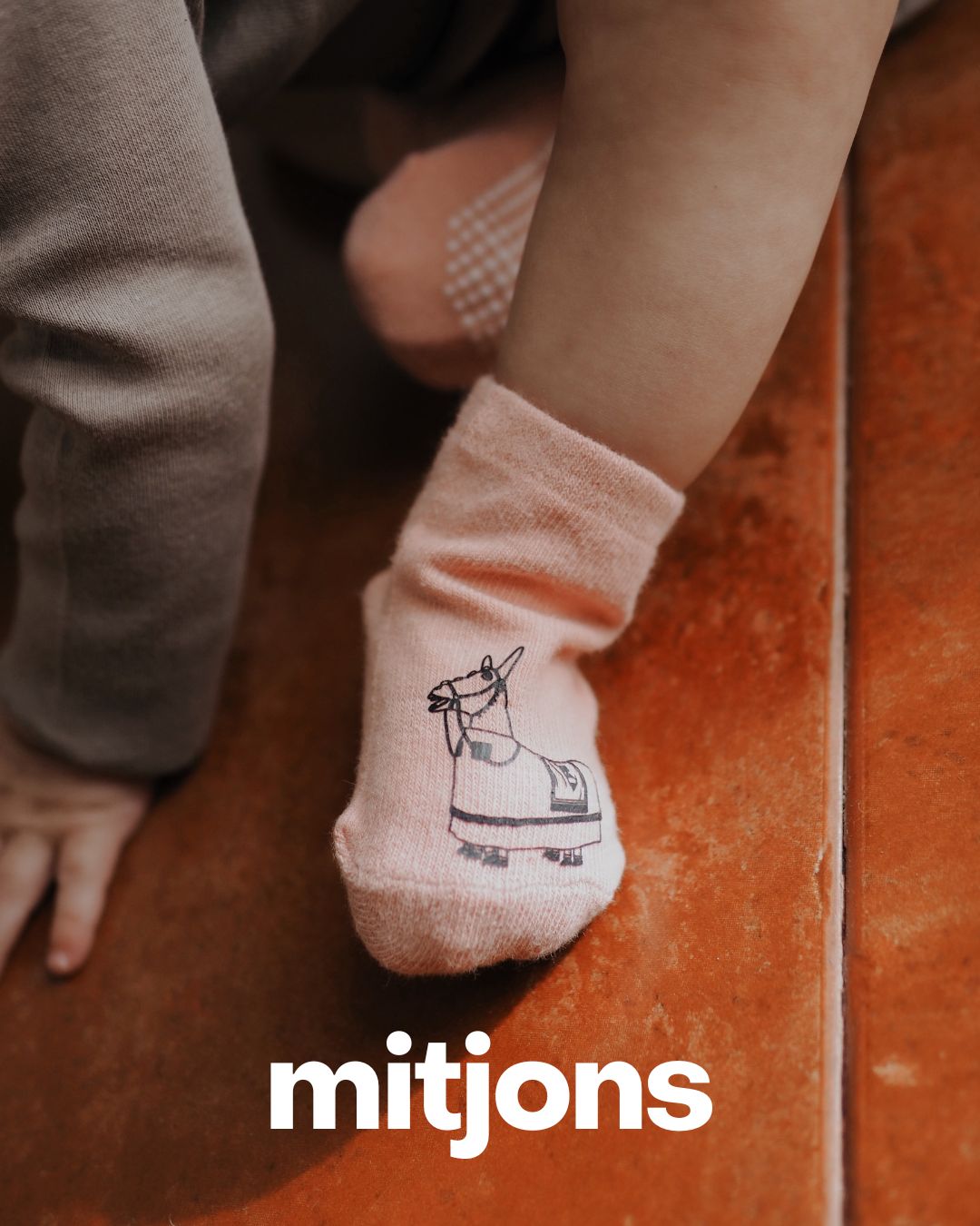 Els mitjons del bestiari Vallenc: una figura en cada parell! ✨
- Pack de 5 parells per a nens i nenes
- Pack de 6 parells antilliscans per a babies
Regala'ls aquest Nadal, ja disponibles a la nostra web!