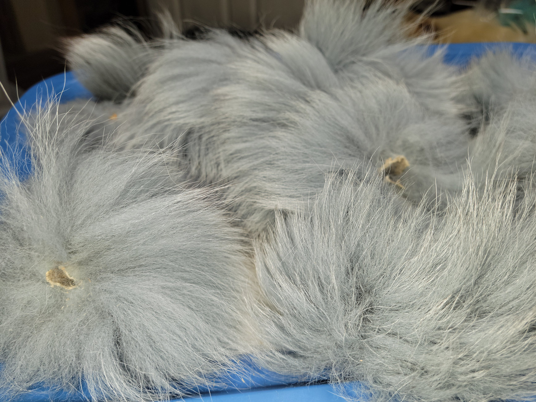 Black Friday Vendredi Fou -25%
Section de queue tail ring
https://www.shedaplumes.com/category/section-de-queue