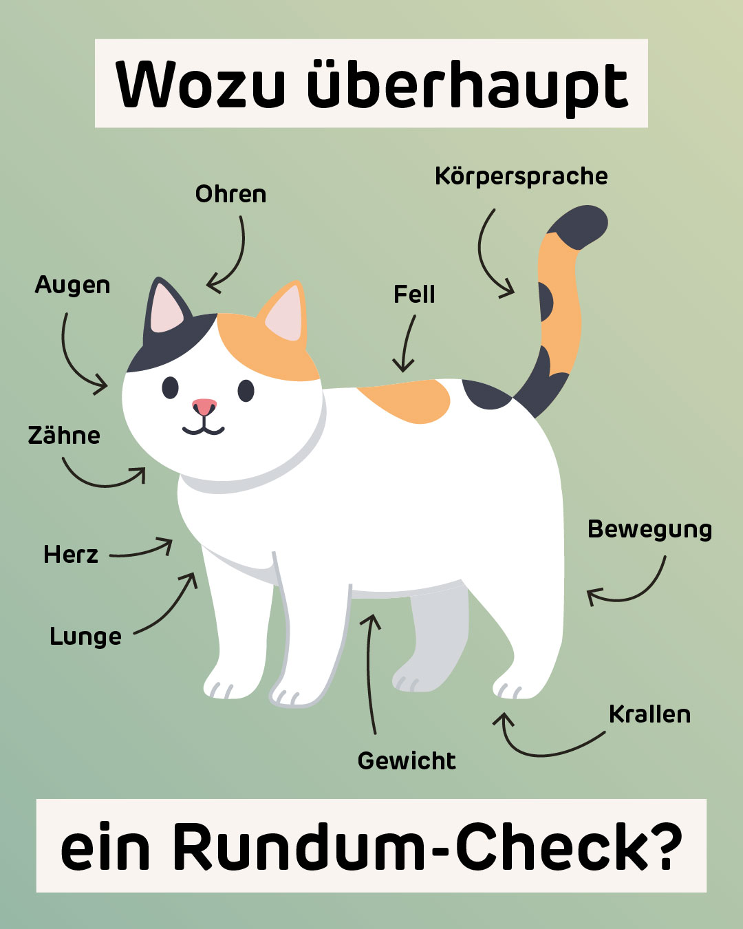 Bevor wir im Januar 2026 eröffnen, geben wir schon mal eine kleine Vorschau auf unser Angebot. Wir fangen an mit einem Thema, das leider viele unterschätzen: Früh-Erkennung! 🚨👩🏻⚕️🐈
Nicht jedes gesundheitliche Problem erscheint – zack! – ganz plötzlich und offensichtlich. Vieles bahnt sich fast unmerklich an und wird lange übersehen. Umso mehr, weil Katzen sich eher zurückziehen, wenn ihnen nicht wohl ist. 😿
Erkennt man jedoch Probleme frühzeitig, kann man sie oft einfacher behandeln. Das erspart dem Büssi Schmerzen und Unwohlsein, dem Menschen viele Sorgen und unnötige Kosten.
Der jährliche Rundum-Gesundheits-Check ist für uns deshalb eine Herzensangelegenheit. Es soll möglichst gar nicht erst zum Notfall kommen!
Was zu beachten ist, falls dennoch ein Notfall eintritt, erfahrt ihr übrigens im kostenlosen Kurs «Katzen-Notfall: Was tun?» am 29. November bei uns in Zuchwil. Ein paar Plätze sind noch frei!
Jetzt anmelden unter: www.felivet.cat/kurs (klickbar in unserer Bio)
#Katze #Katzen #Katzenpraxis #Tierarzt #Katzenliebe