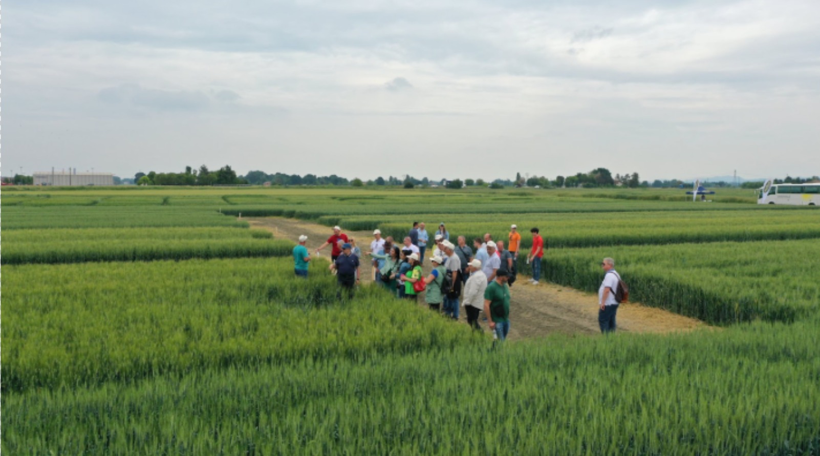 🌍 Sostenibilità: agricoltura responsabile con SEMETICA.
Riduzione degli input, maggiore efficienza produttiva, varietà rustiche che richiedono meno trattamenti.
Il futuro dell’agricoltura inizia oggi.
📲 Scopri di più su www.semetica.it
CATALOGO 2025 👉 https://lc.cx/os7kBN
#Semetica #Sostenibilità #AgricolturaResponsabile #Cereali #innovazione