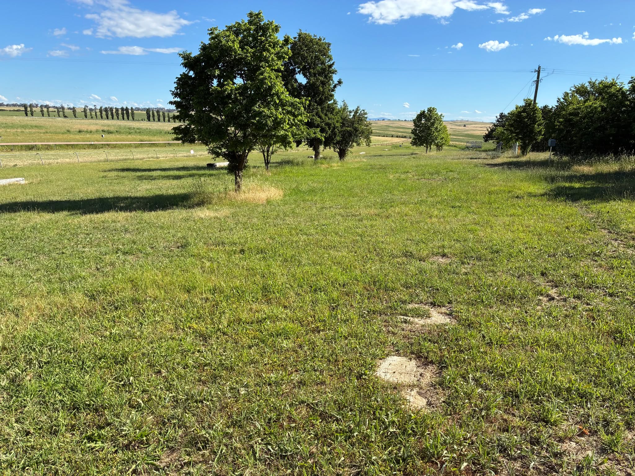 The track is looking fantastic after our latest working bee. A huge thank you to our committee members who continue to put in the time and effort to make sure Marchmont Racecourse is looking its best each year. From mowing and tidying to fixing rails and freshening up the grounds, it is always a big job and the results speak for themselves.
Swipe to see the before and after. We are really proud of how the course is shaping up as we head towards our 125th year of racing on Saturday 28th February, 2026.
--------------
#YassPicnicRaces #MarchmontRacecourse #CommitteeCrew #CommunityInAction #YassEvents #CountryRacing