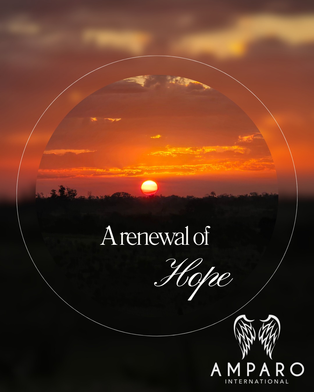 Every sunset in ๐๐น ๐ ๐ฎ๐ป๐ด๐ผ reminds us that God closes one day but opens a new chance to start fresh. Trust Himโwhatโs coming is full of purpose and hope.
โThe Lordโs mercies are new every morning; great is His faithfulness.โ โ Lamentations 3:22โ23
_______๐๐๐ฝ๐ฎ๐ป๐ผ๐น_________
Cada atardecer en ๐๐น ๐ ๐ฎ๐ป๐ด๐ผ nos recuerda que Dios cierra un dรญa, pero abre una nueva oportunidad de empezar de nuevo. Confรญa en รl. Lo que viene estรก lleno de propรณsito y esperanza.
โLas misericordias del Seรฑor son nuevas cada maรฑana; grande es Su fidelidad.โ โ Lamentaciones 3:22โ23