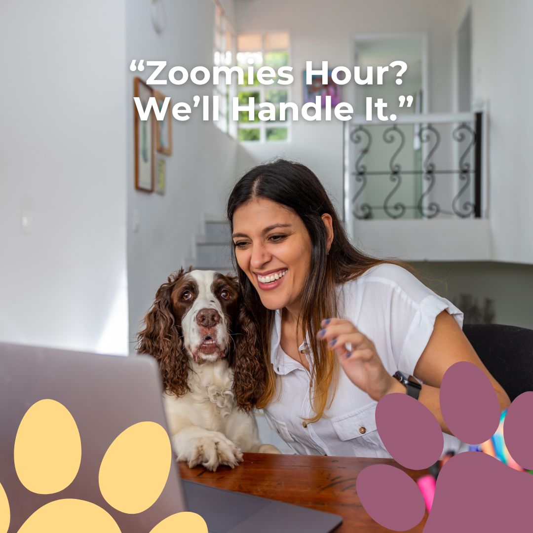 That pre-dinner wild time? We channel it into structured play + a focused walk, so evenings feel peaceful again.
#NoDogTooSmall #DogWalking #EnrichmentForDogs #StructuredPlay #Zoomies #DogEnergy #CalmEvenings #PetCare #DailyRoutine #HappyDog #BehaviorHelp #DogParents #LocalDogWalker #PetPros #DogServices